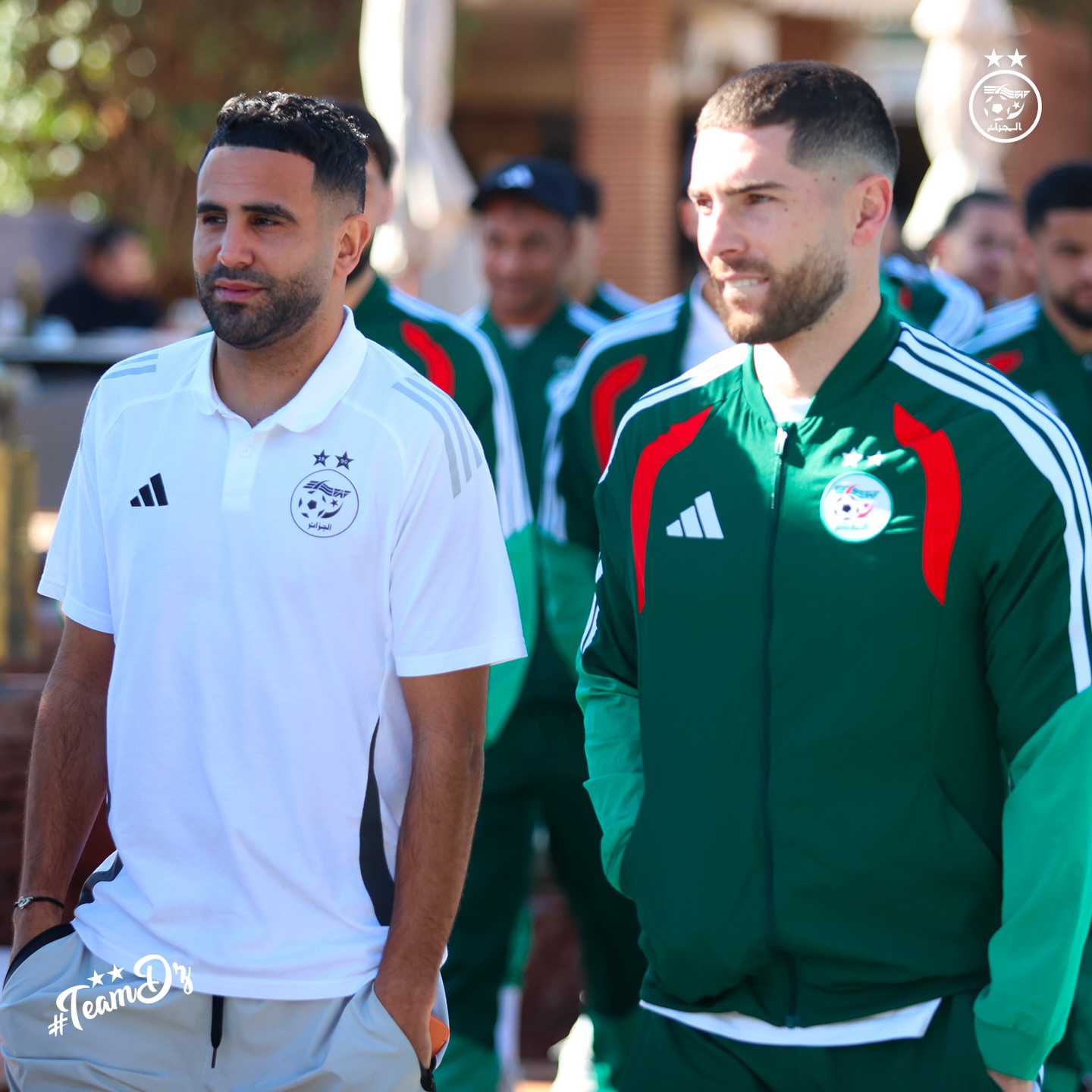 611194893 18162890926398019 7707749157943193478 n