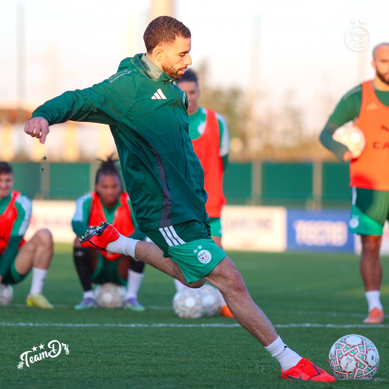 611254146 18162756007398019 7181269350790235795 n