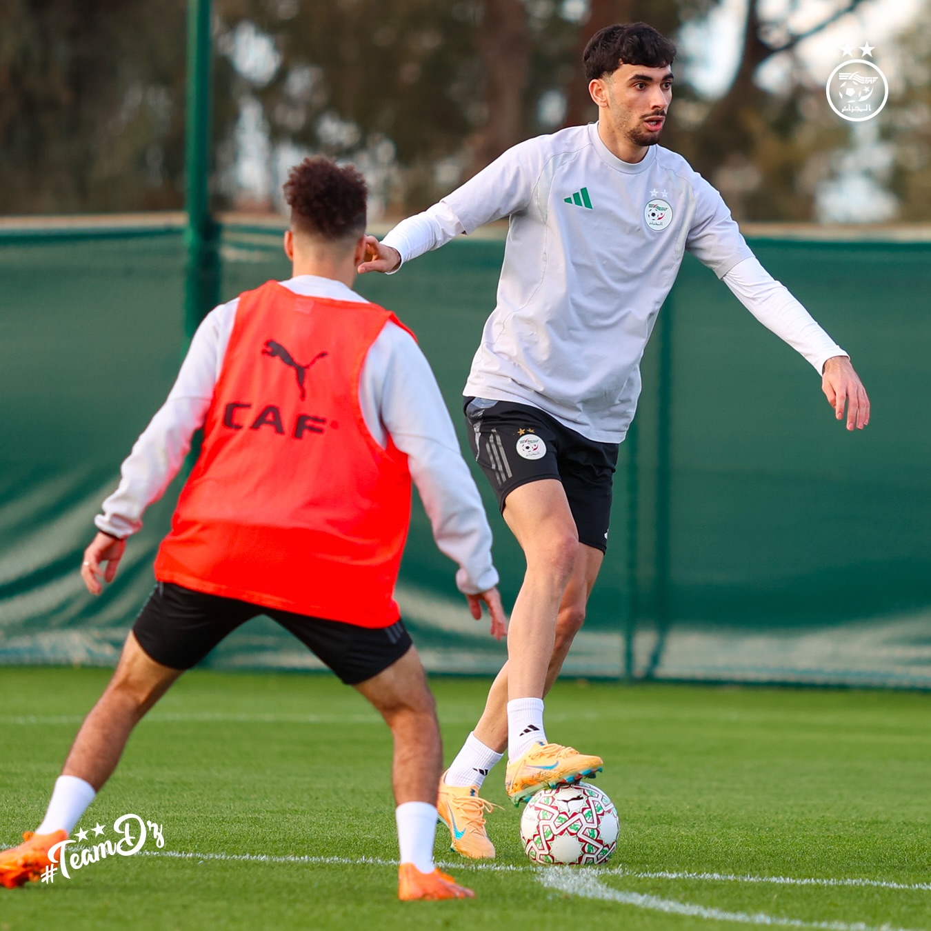 611281928 18162672553398019 5201268677714499838 n