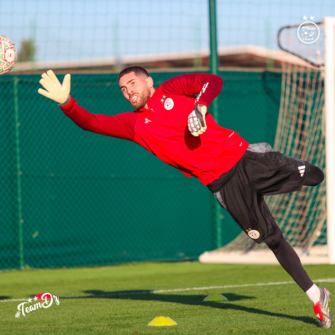 611284696 18162755989398019 2786444558522446254 n