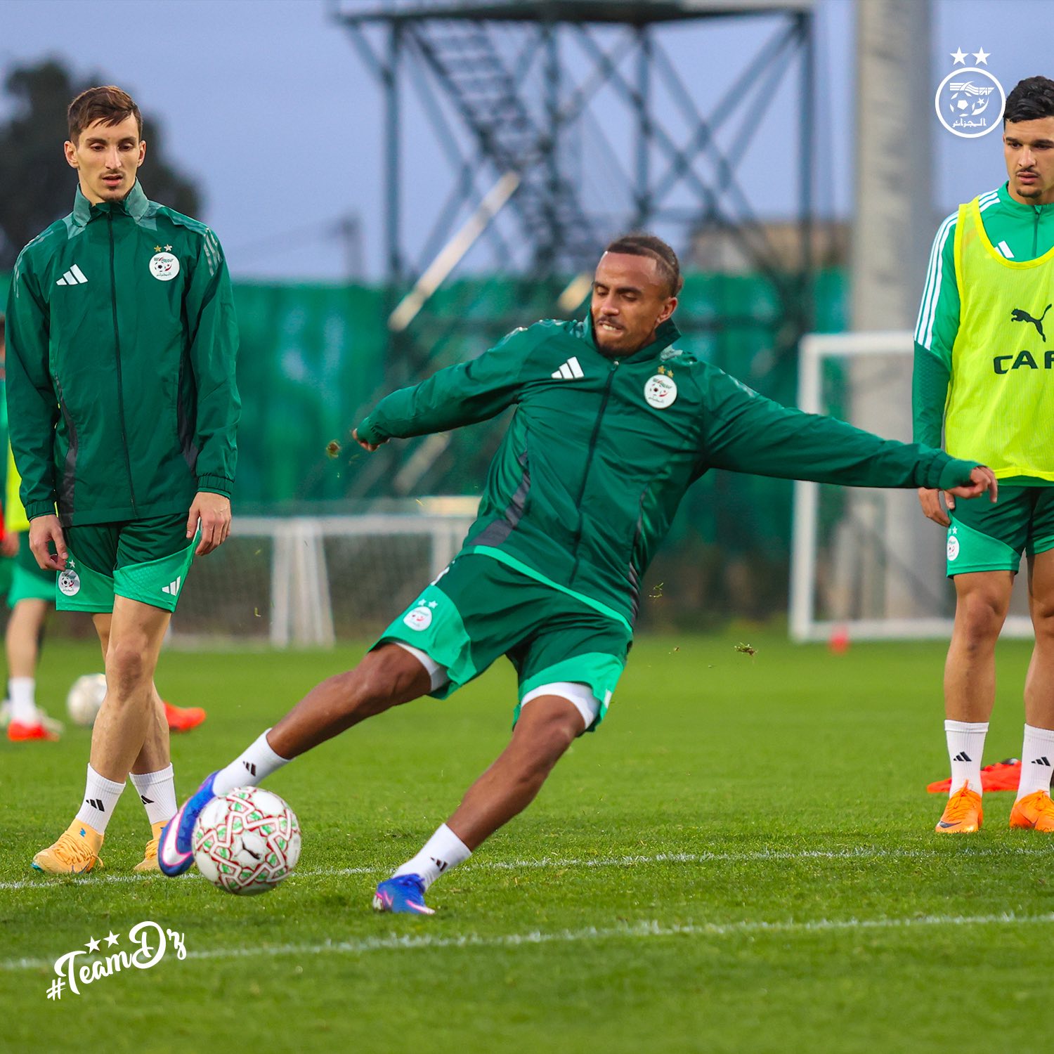 611561498 122182849142484363 9057376112607932491 n