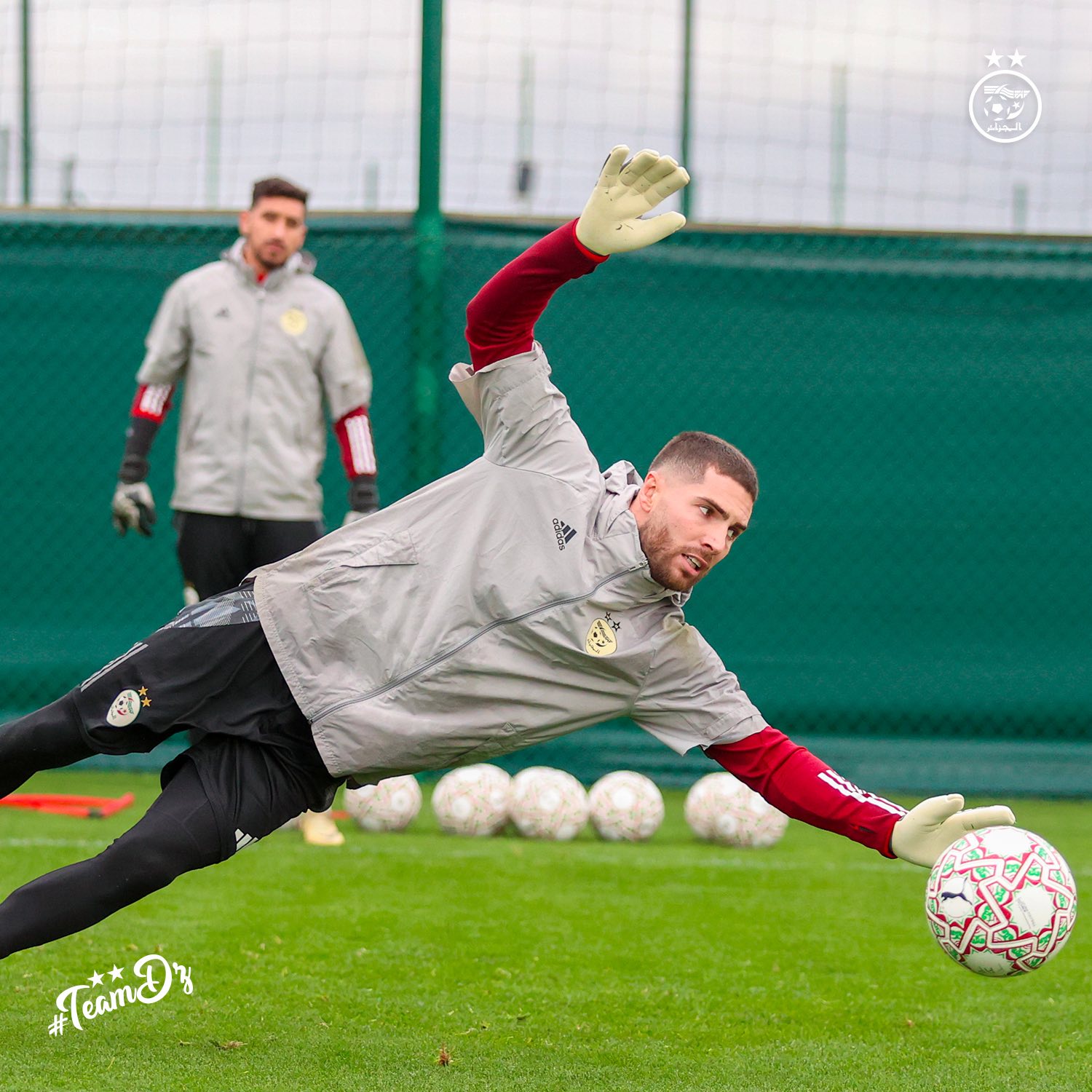 611607755 122182848962484363 6344441524668491142 n