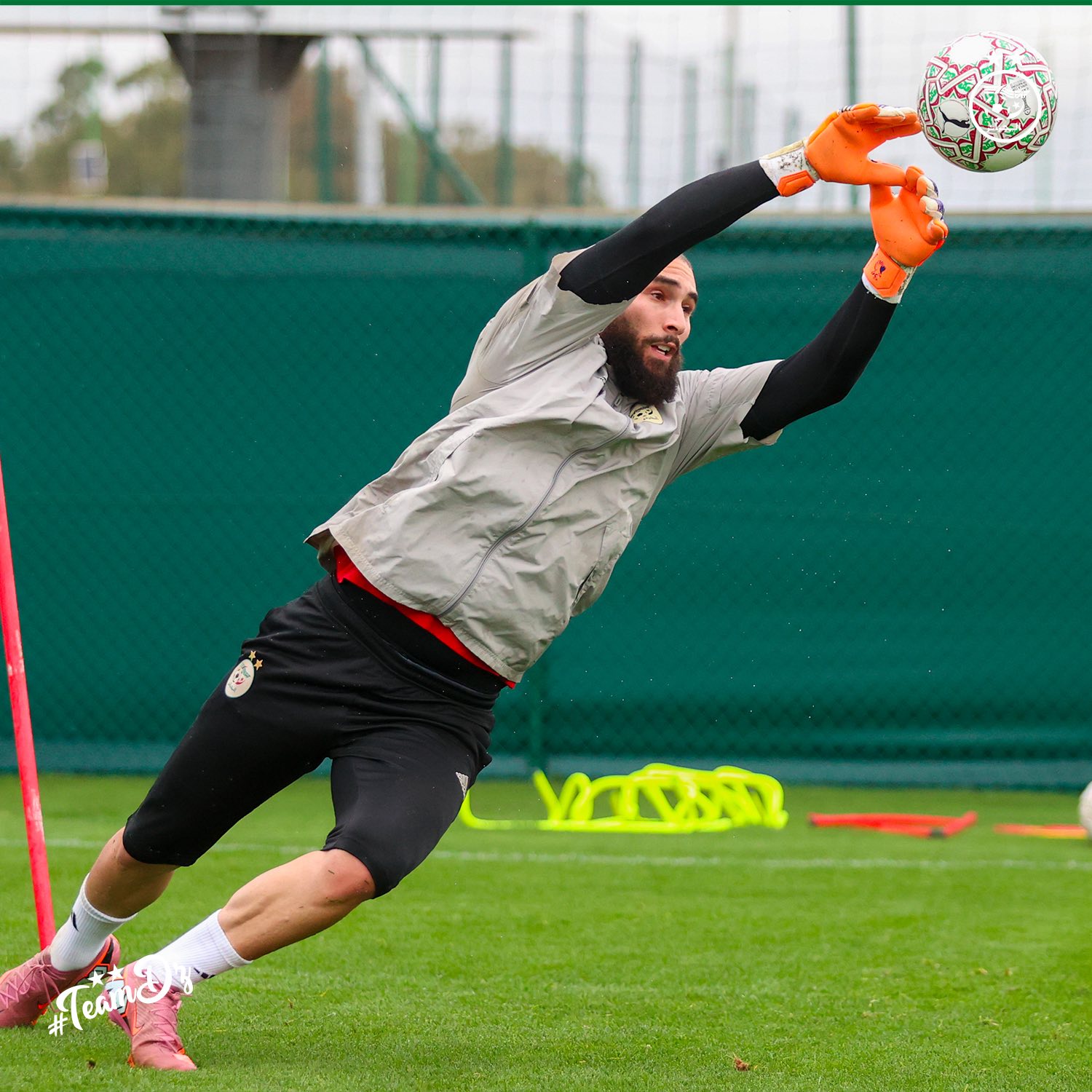 612027347 122182849004484363 7891306734670154707 n