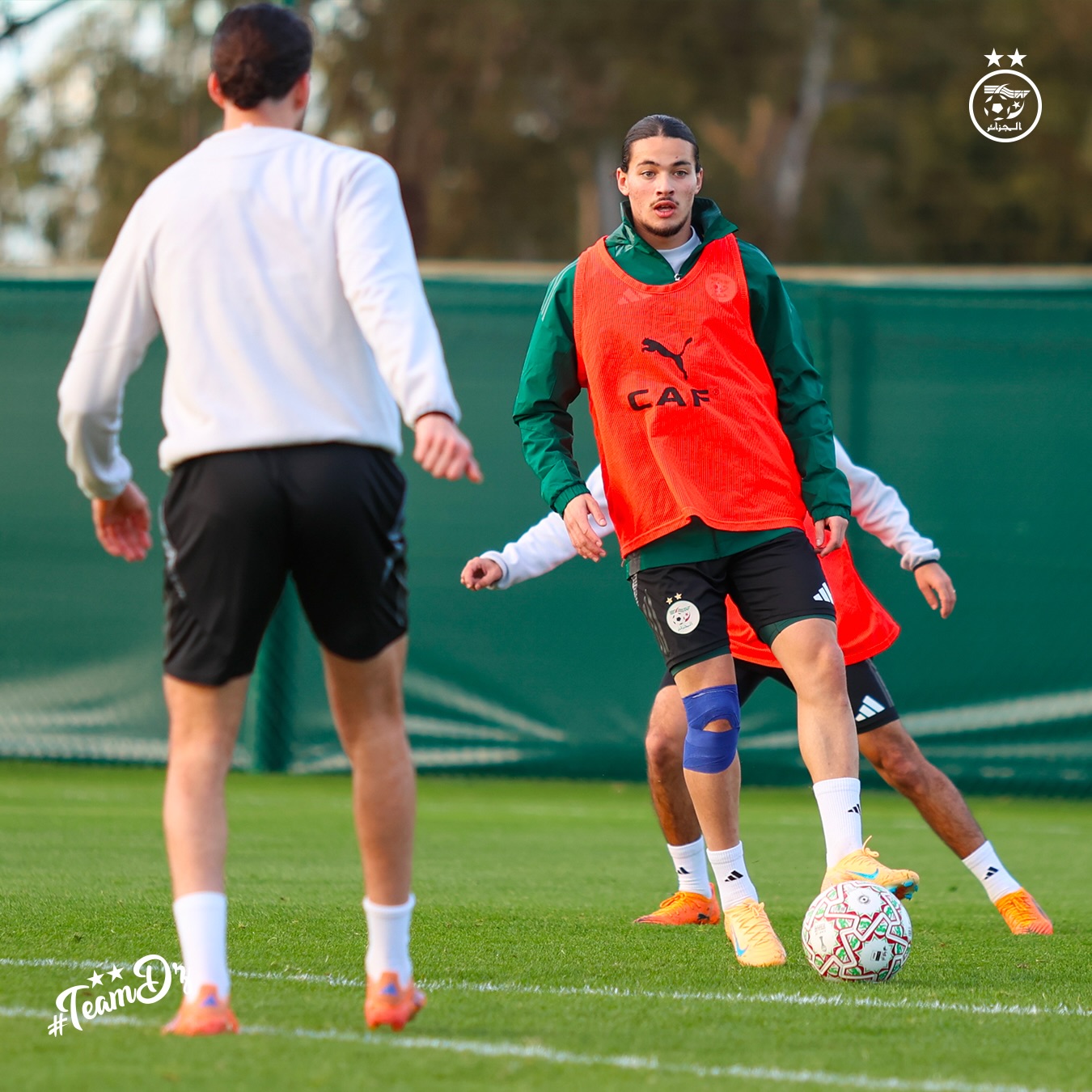 612031440 18162672478398019 3527541756937032550 n