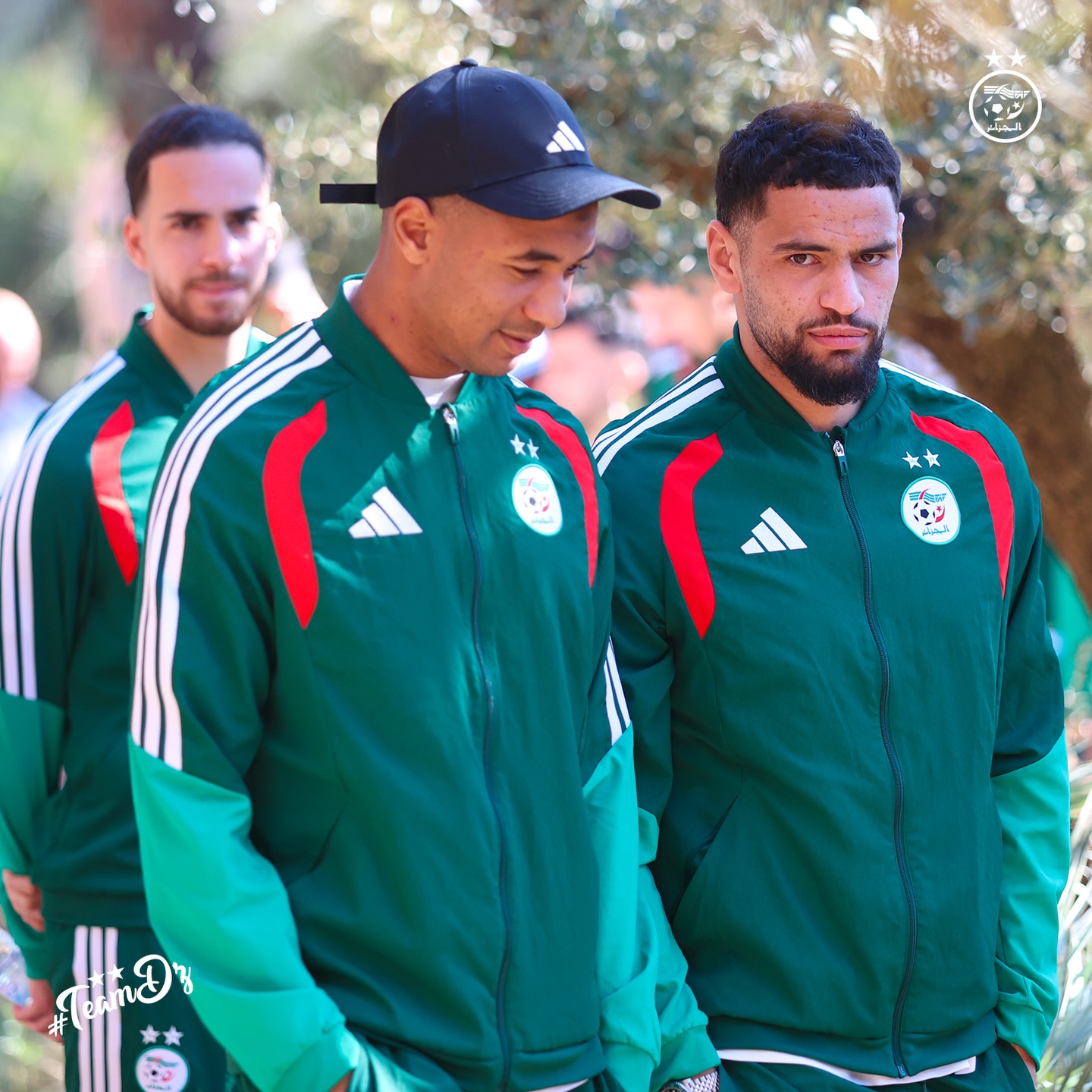 612957632 18162890914398019 4710844294085933917 n