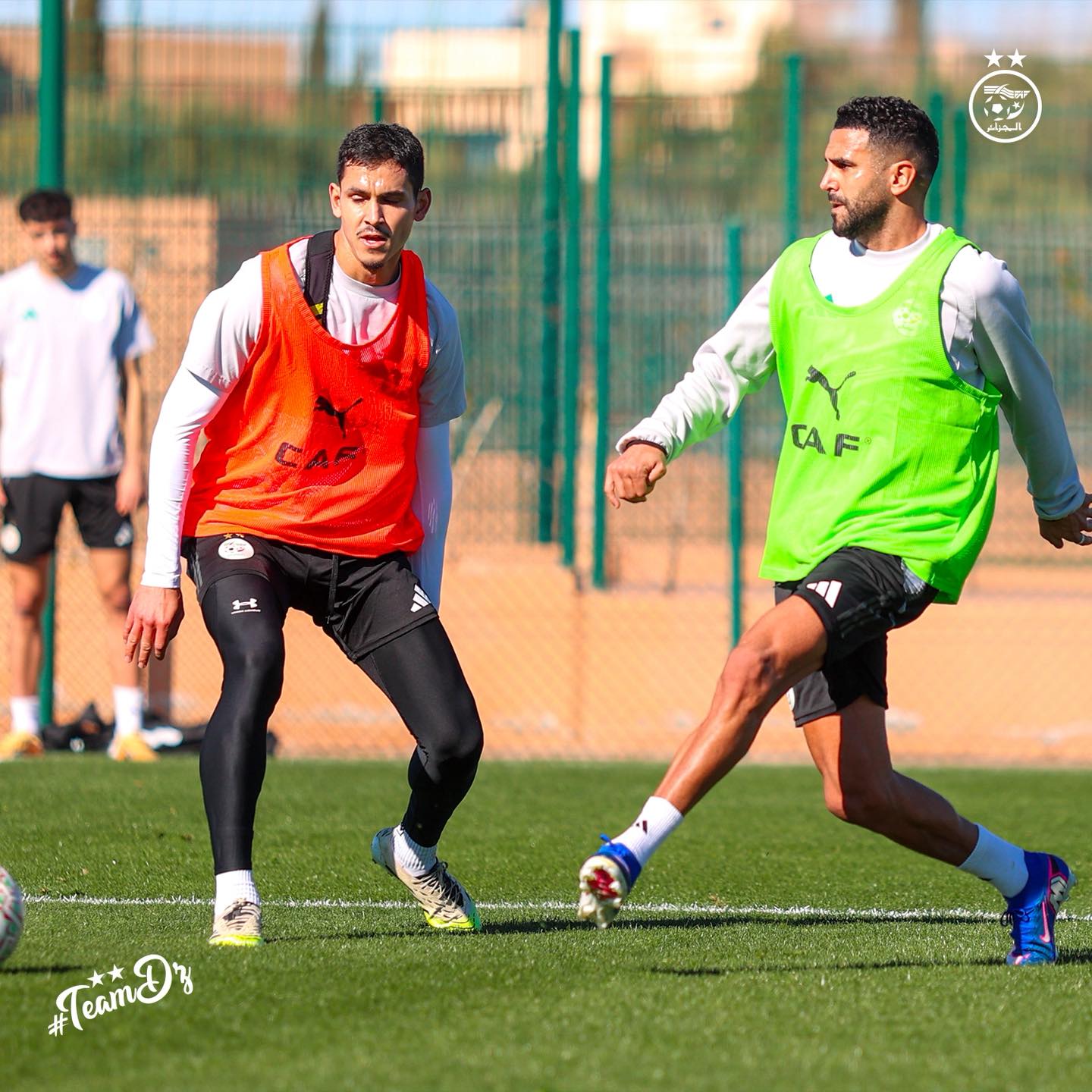 613035613 122183285132484363 7377650227499021945 n