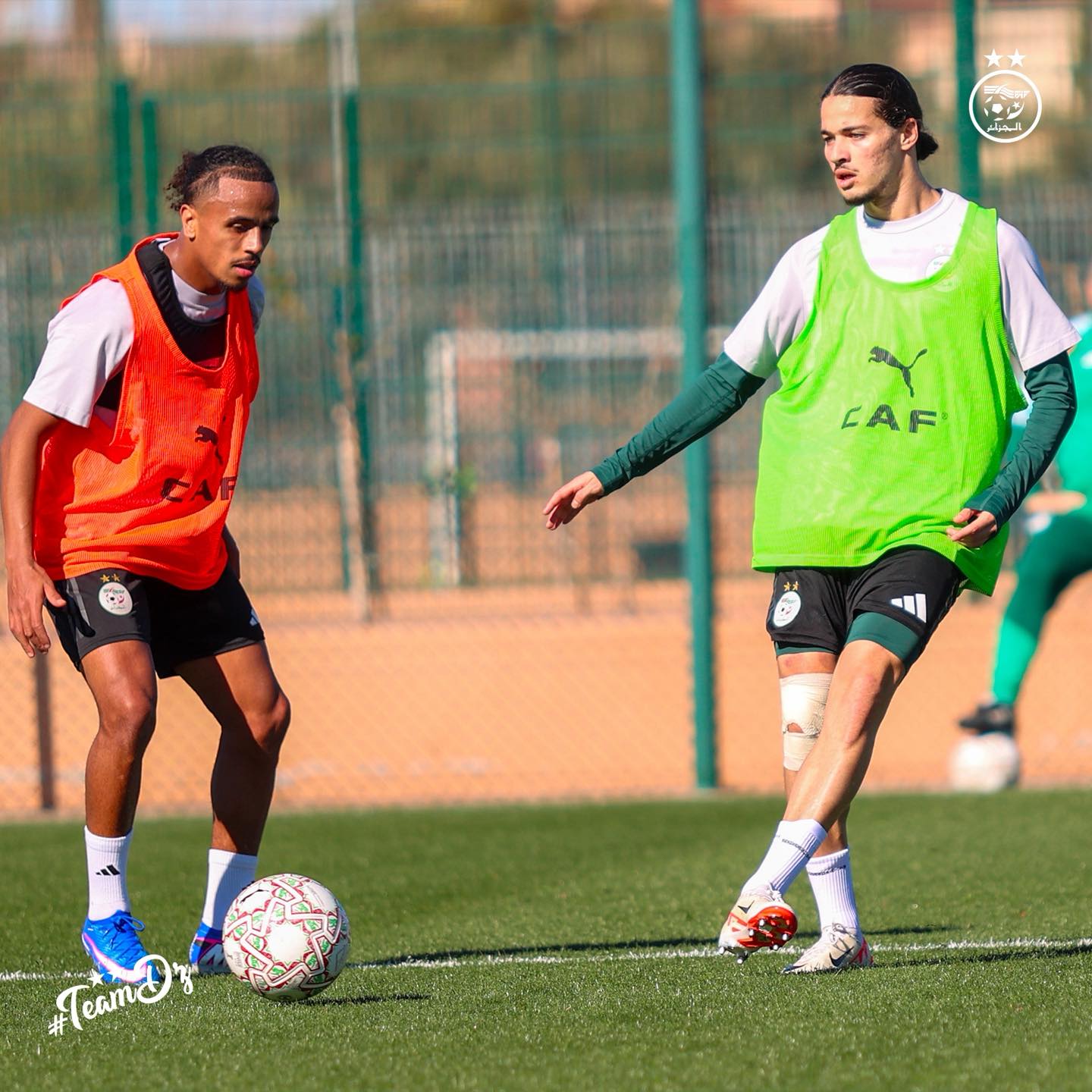 613179470 122183285156484363 2113039265628963477 n