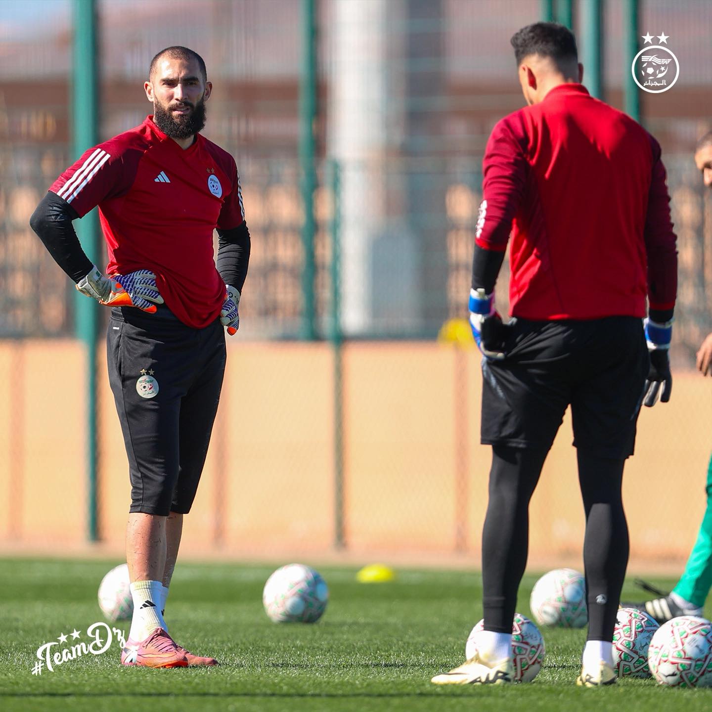 613239609 122183285084484363 3324748938442501835 n