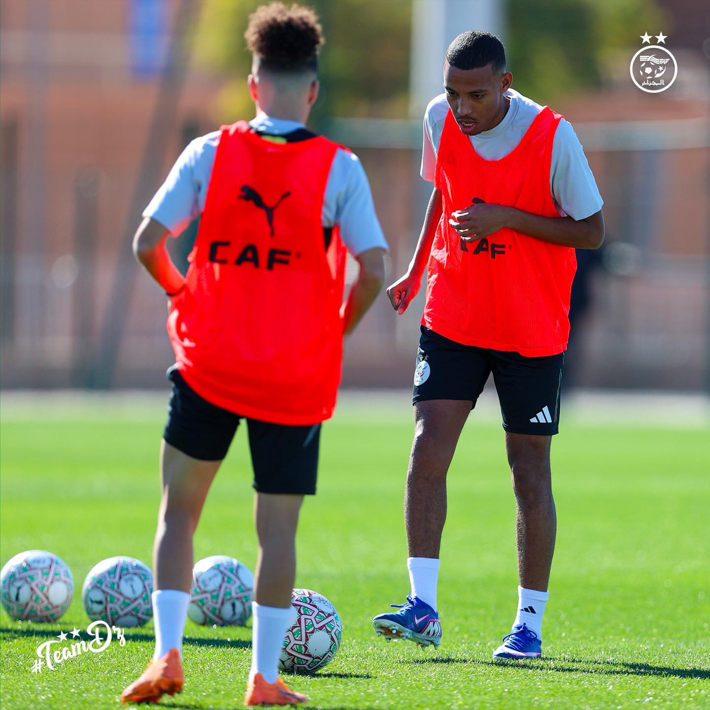 613486323 122183285048484363 878364775148758643 n