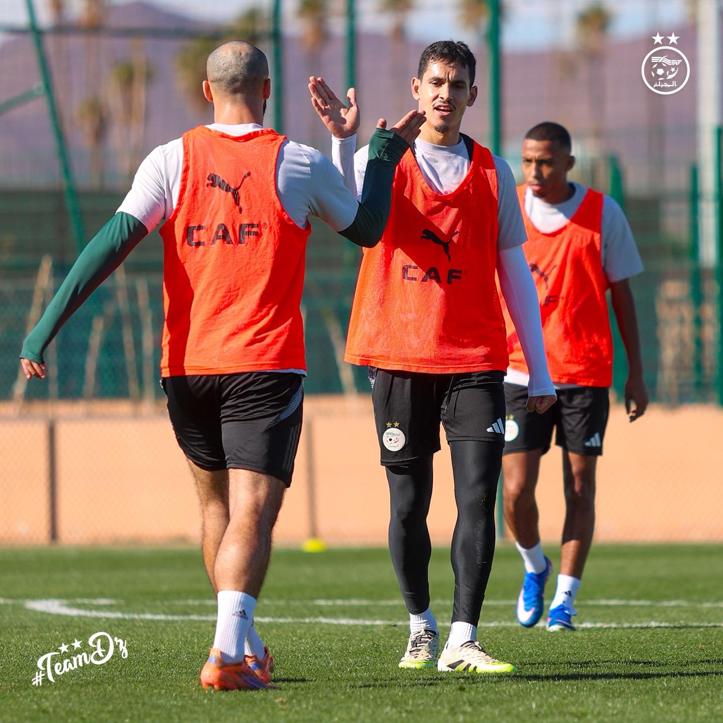 614032772 122183285036484363 6392496751090005590 n