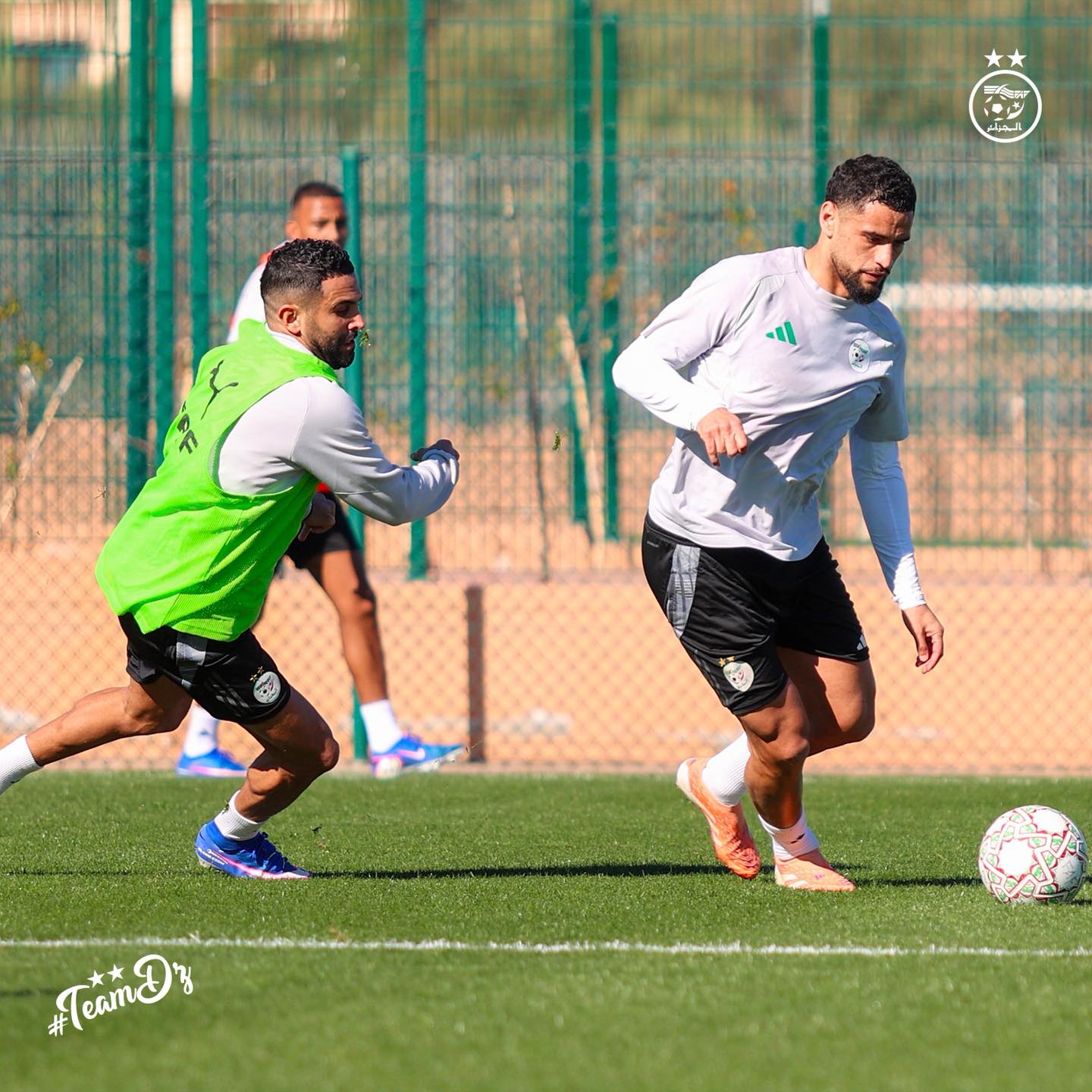 614136765 122183285090484363 288829777123388013 n