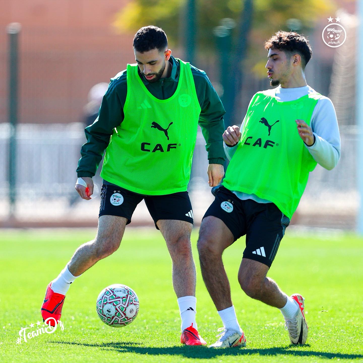 614189402 122183285162484363 2302760110653685011 n