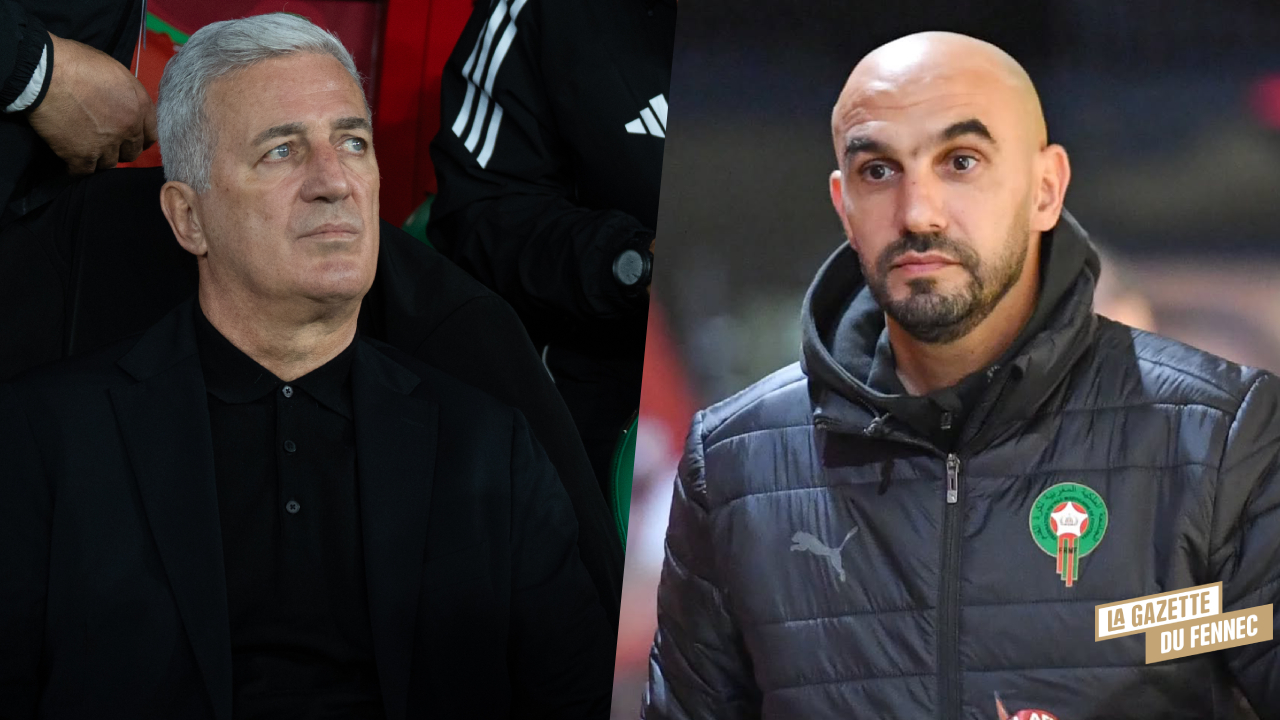 Algérie Maroc Petkovic Regragui