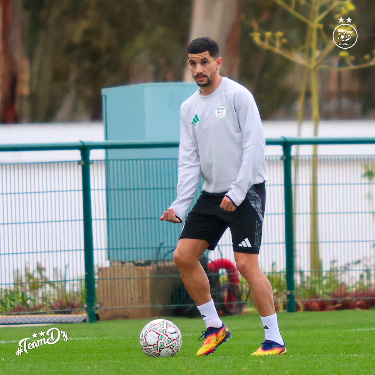 FB IMG 1767378966620