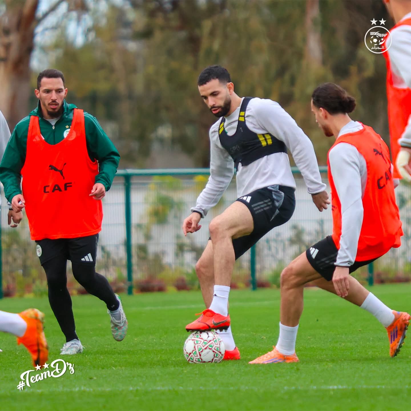 FB IMG 1767378995058