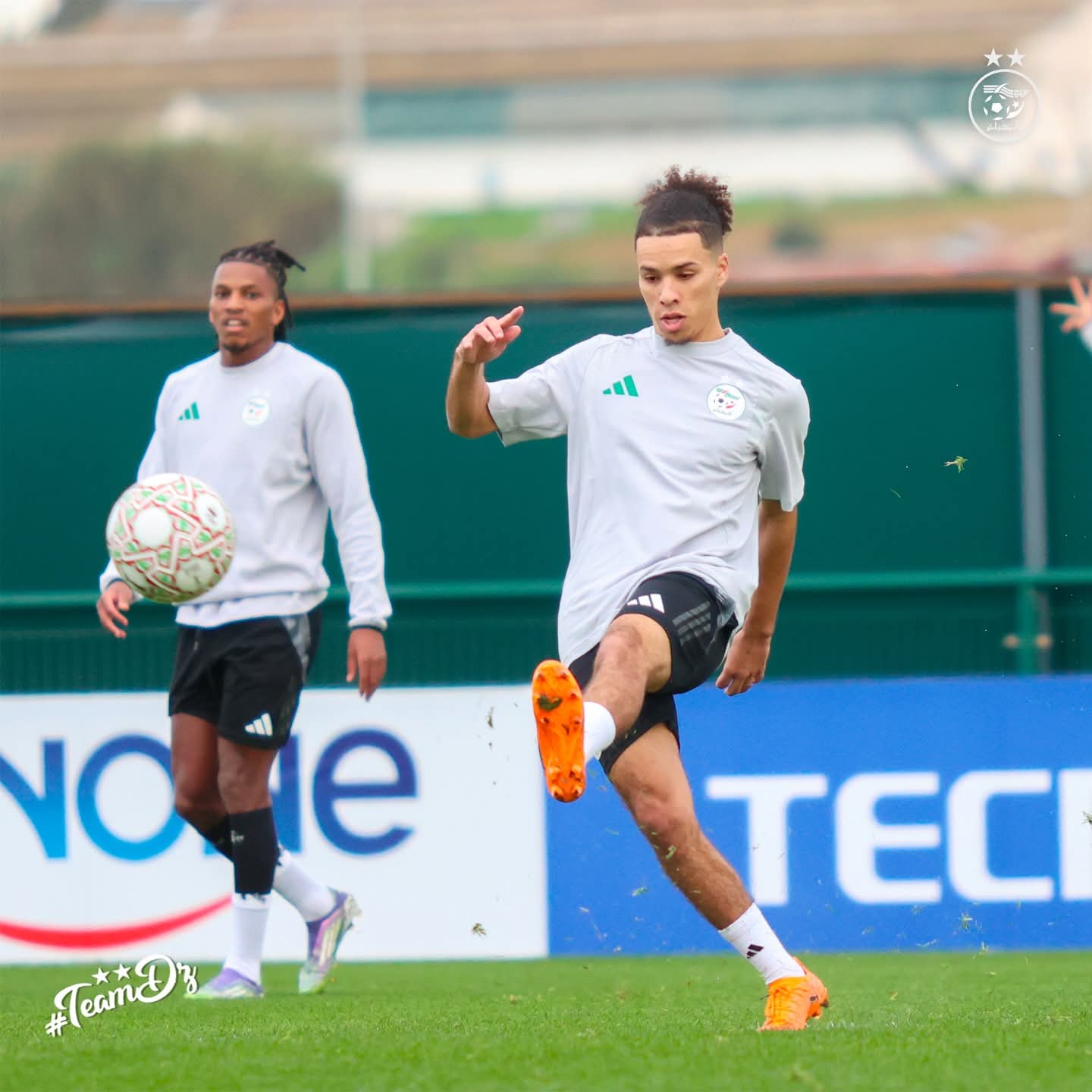 FB IMG 1767378998390