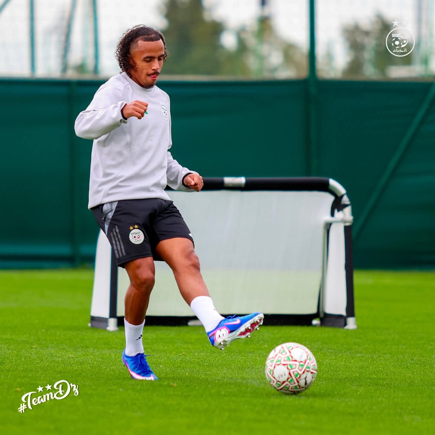 FB IMG 1767379015502