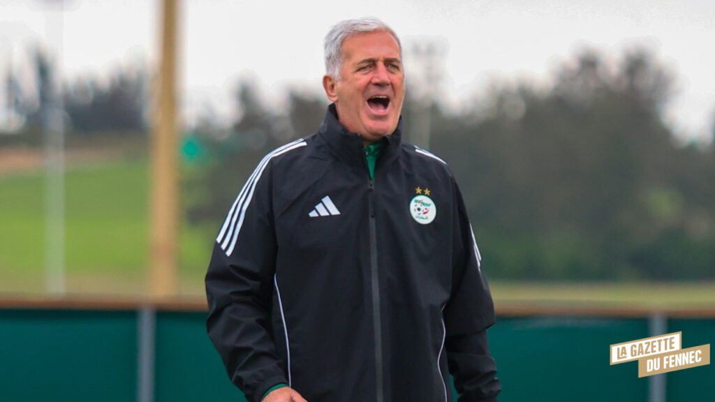 Stage pour le Mondial 2026 : Les Verts au complet... ou presque