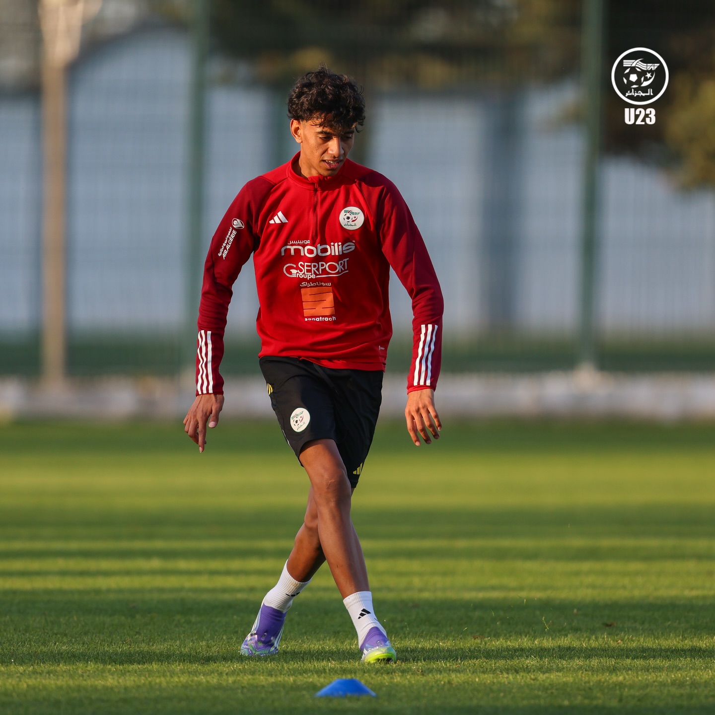 630077512 18170851861398019 5987106488676521271 n