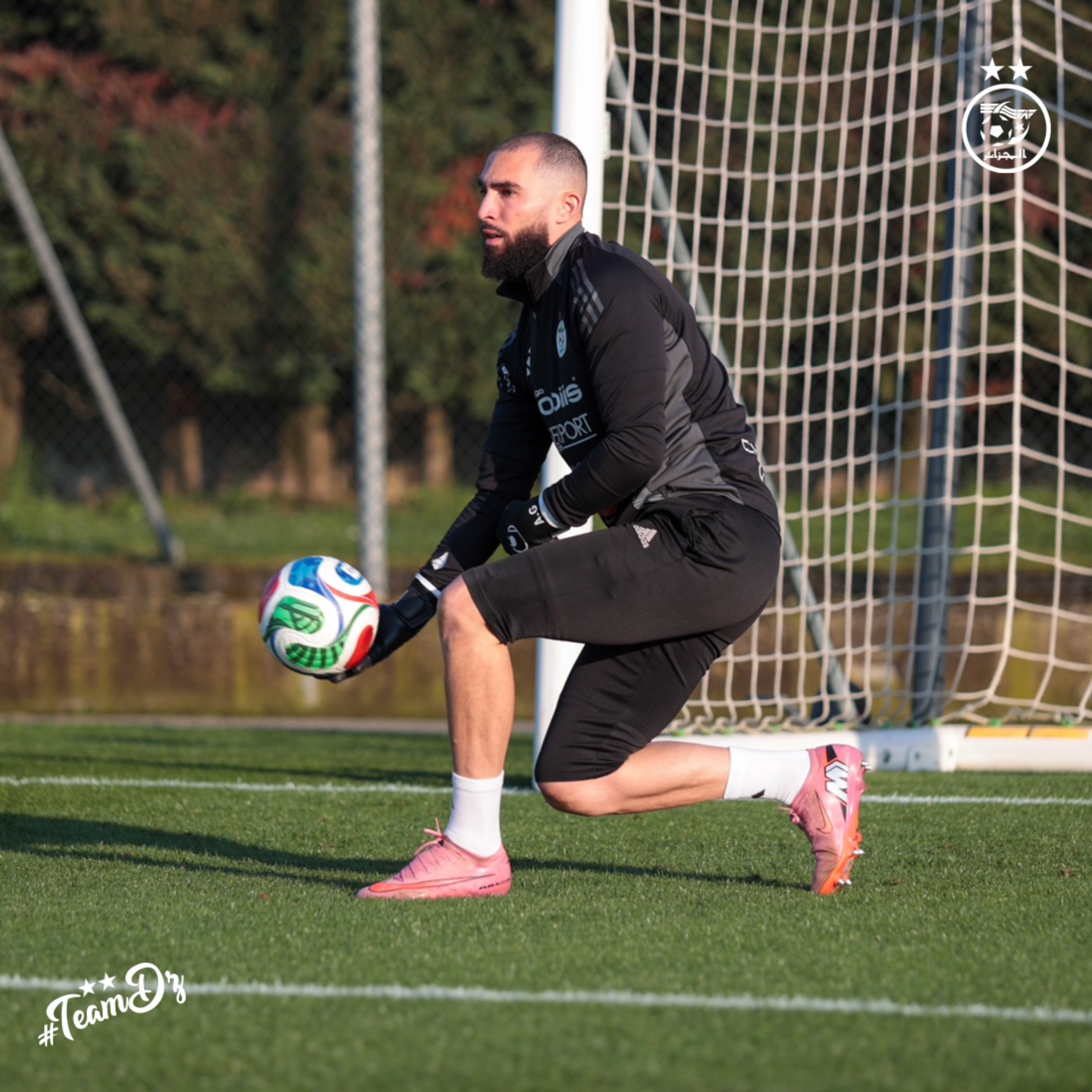 654194469 18170737291398019 8416783205902212542 n