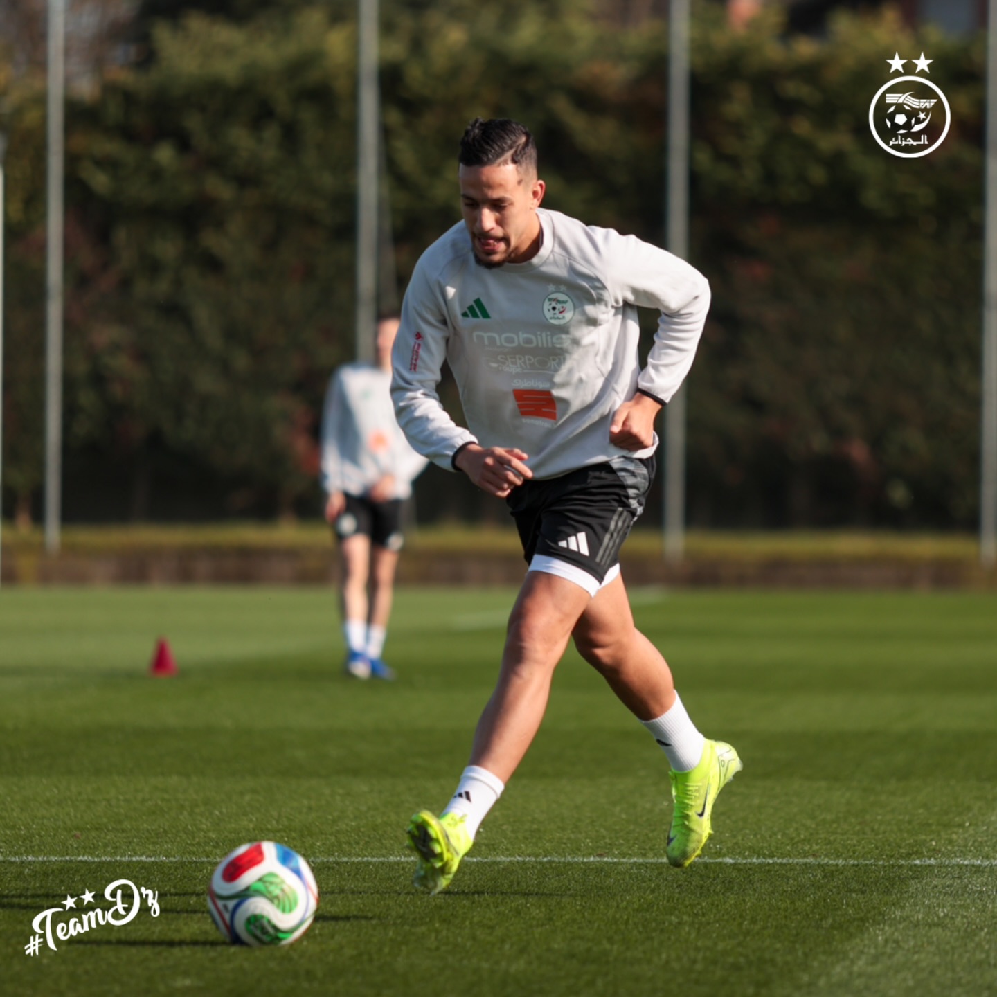 654197511 18170856058398019 500857099033719619 n