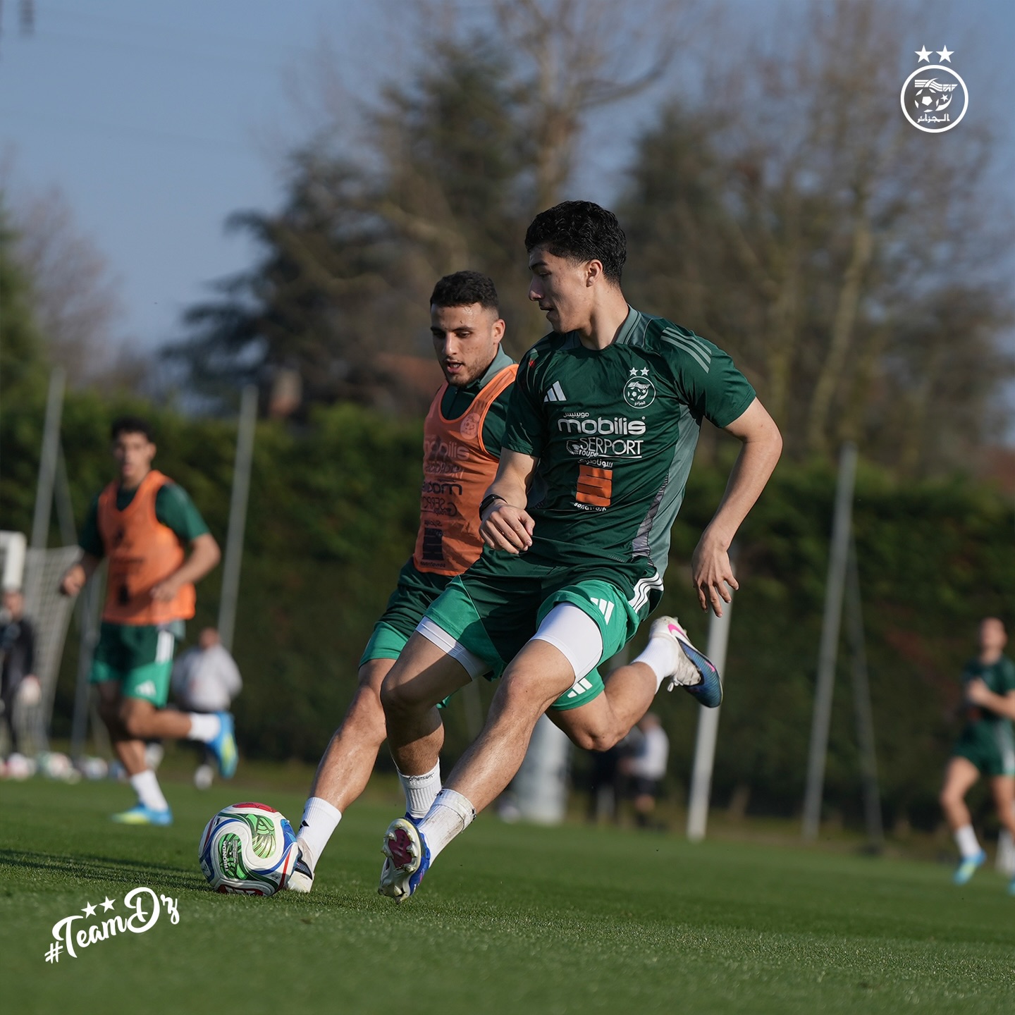 655118625 18170994361398019 6847069268580212689 n