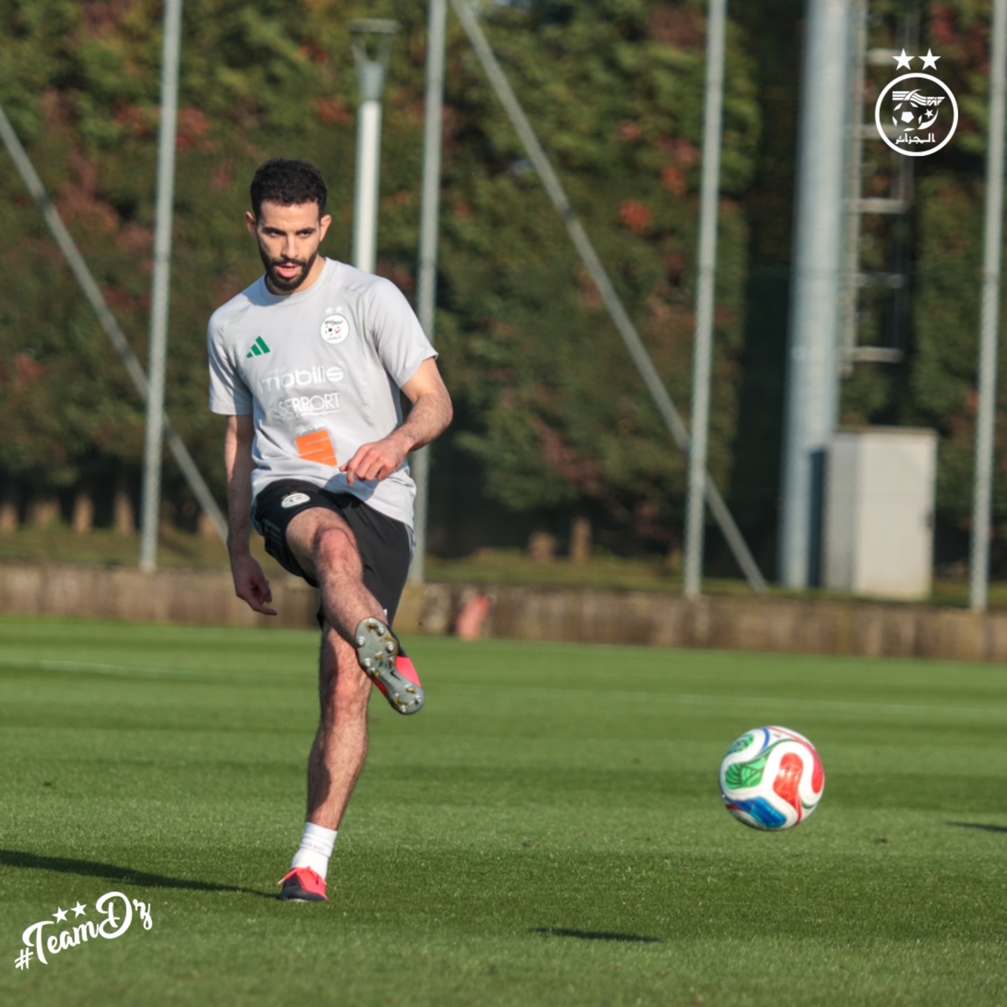 655225425 18170856022398019 2025410333532324782 n