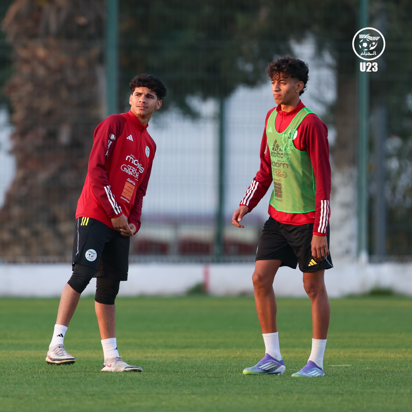 655238767 18170991412398019 3206359001277744817 n