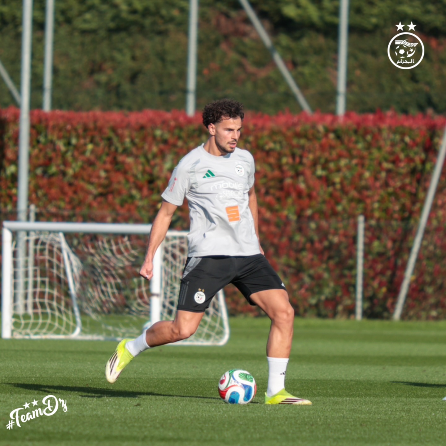 655302048 18170856049398019 6314807541741937020 n