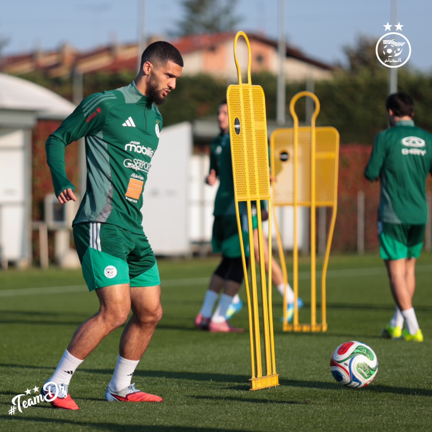 655334569 18170737279398019 7562261106689801776 n