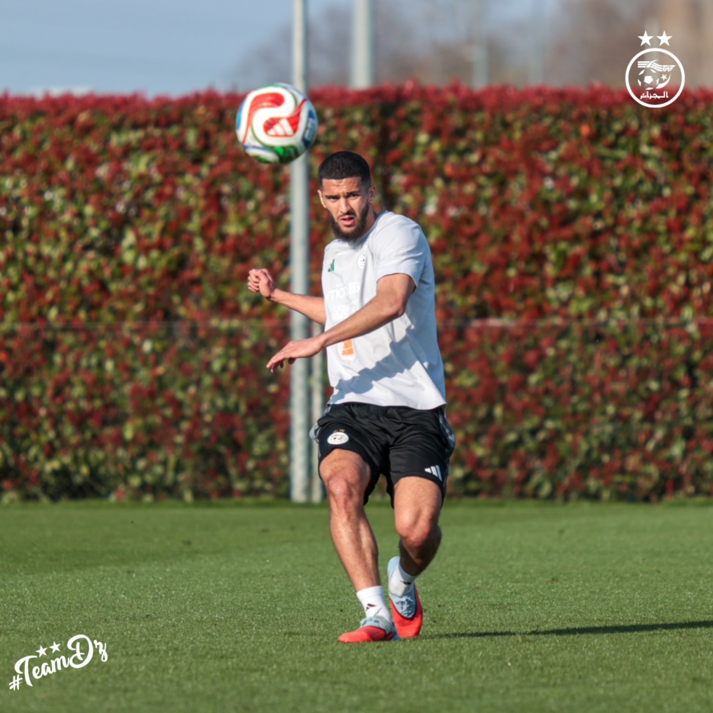 655440616 18170855938398019 131203111765226390 n