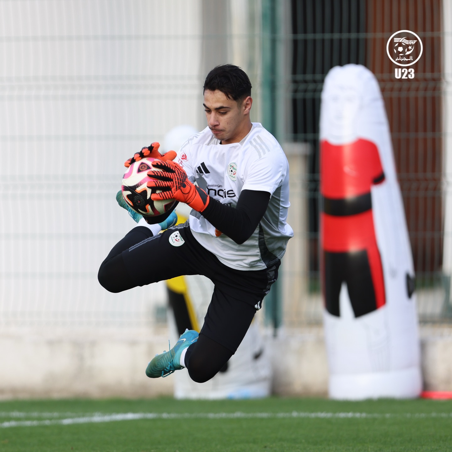 655475910 18171104515398019 7862854638325884545 n