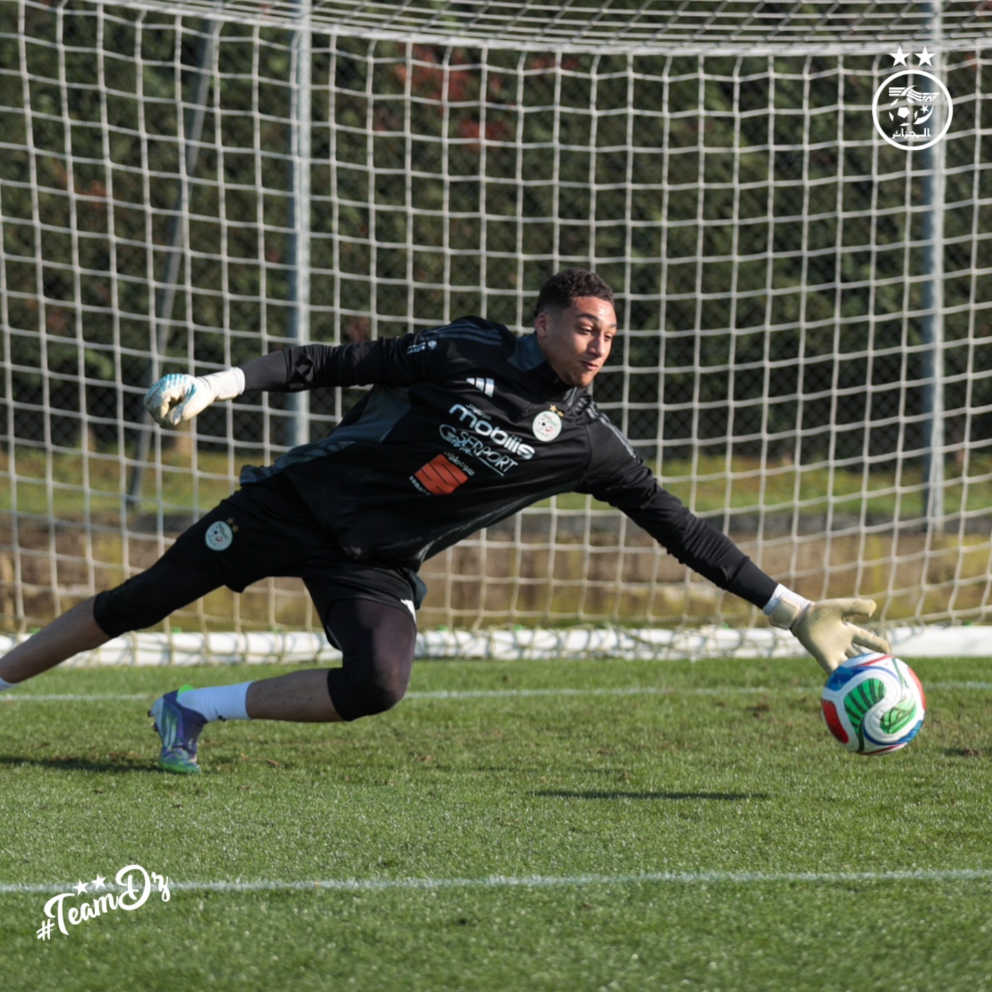 655690032 18170855992398019 3162398292553244324 n