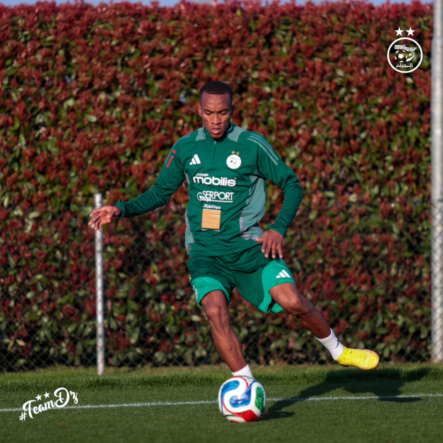 655698626 18170737156398019 773824681212089000 n