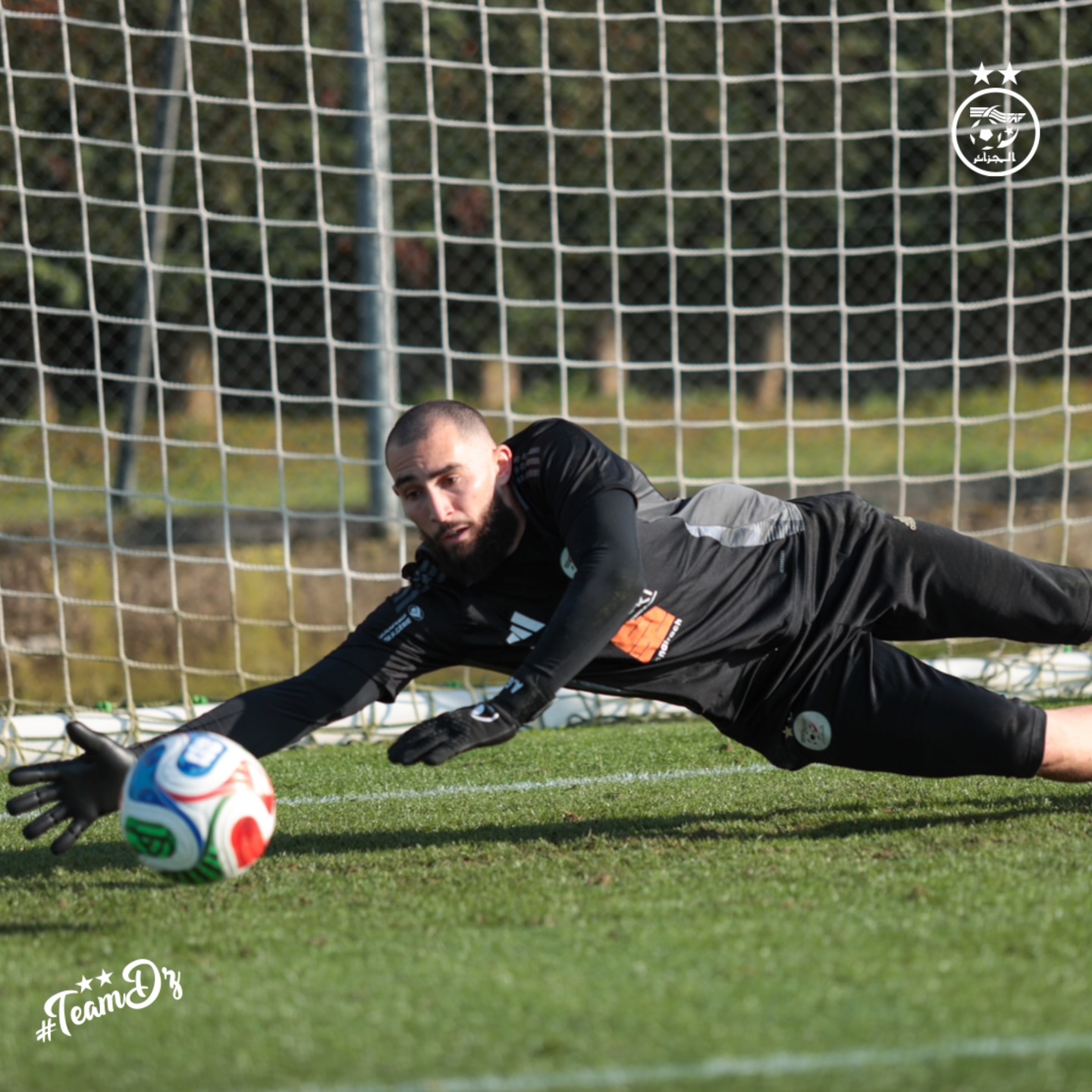 655880865 18170856019398019 1239397465091002353 n