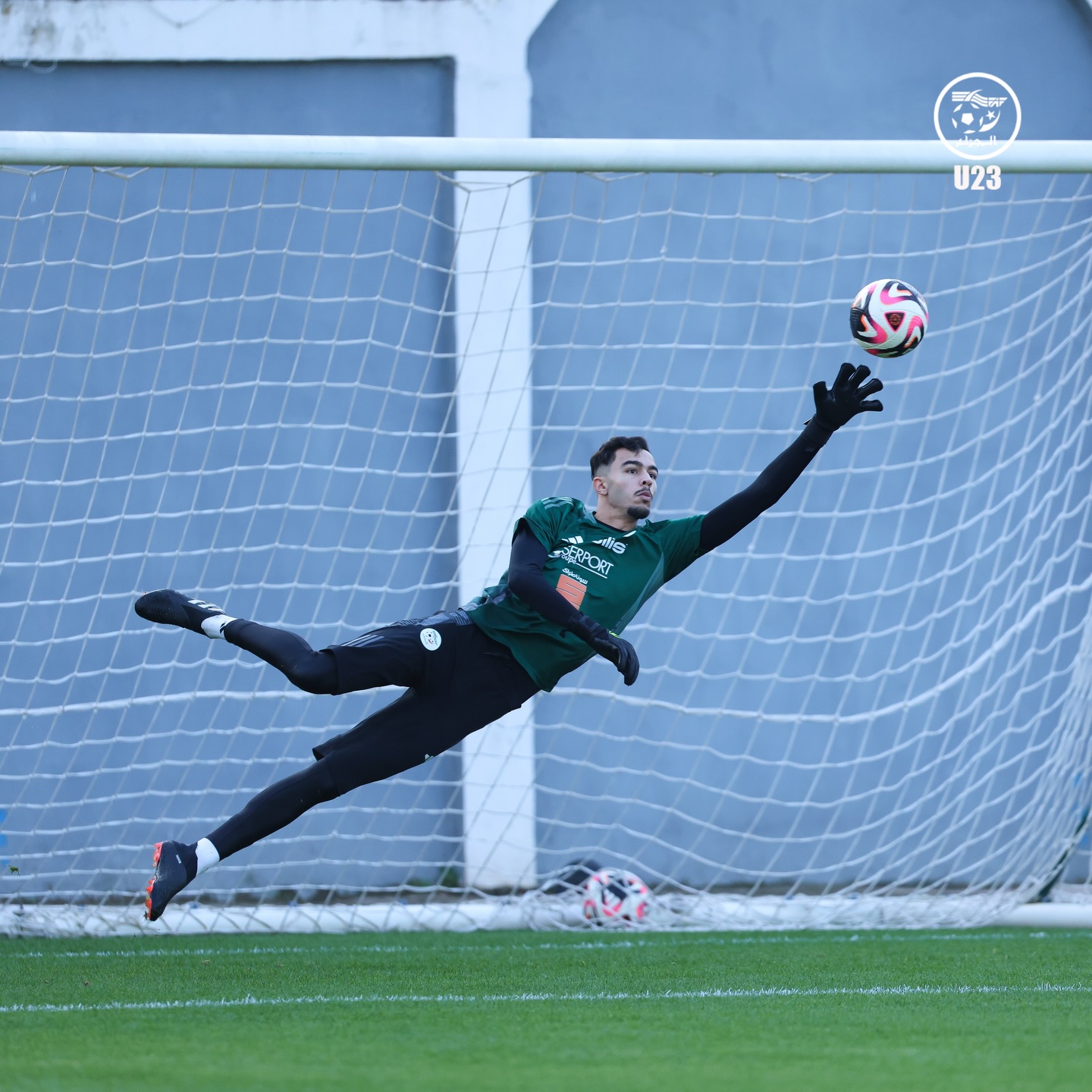 655993190 18170730316398019 7616339088476721683 n