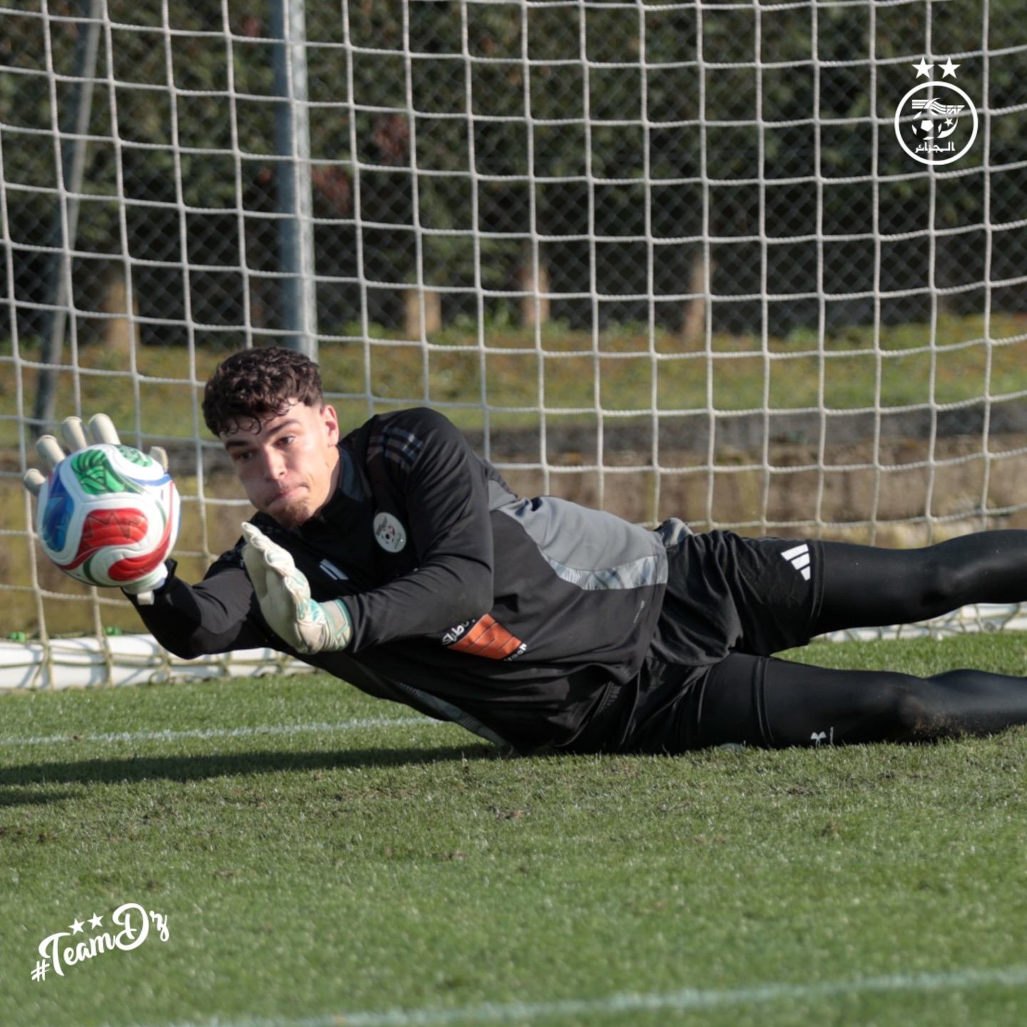 656022480 18170856031398019 2176034893148584659 n