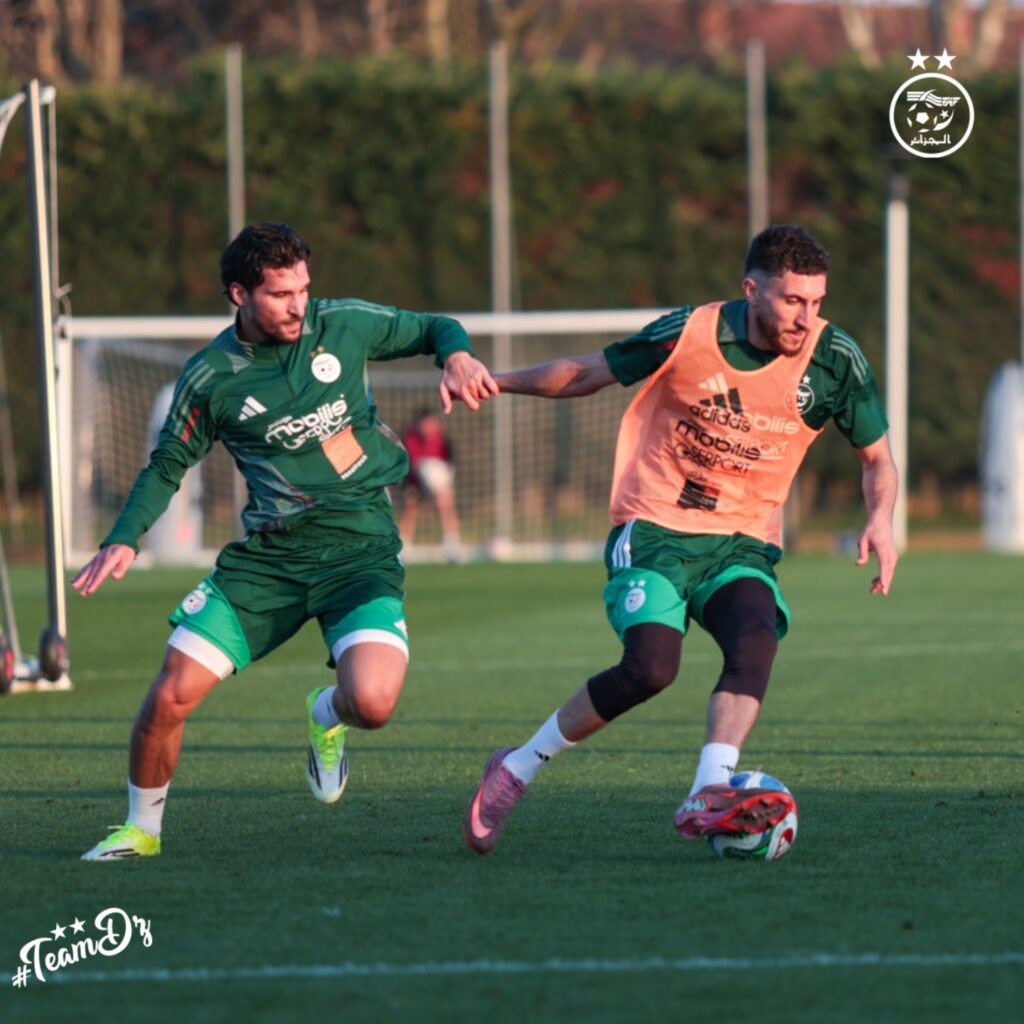 Algérie : Farès Ghedjemis en terrain conquis