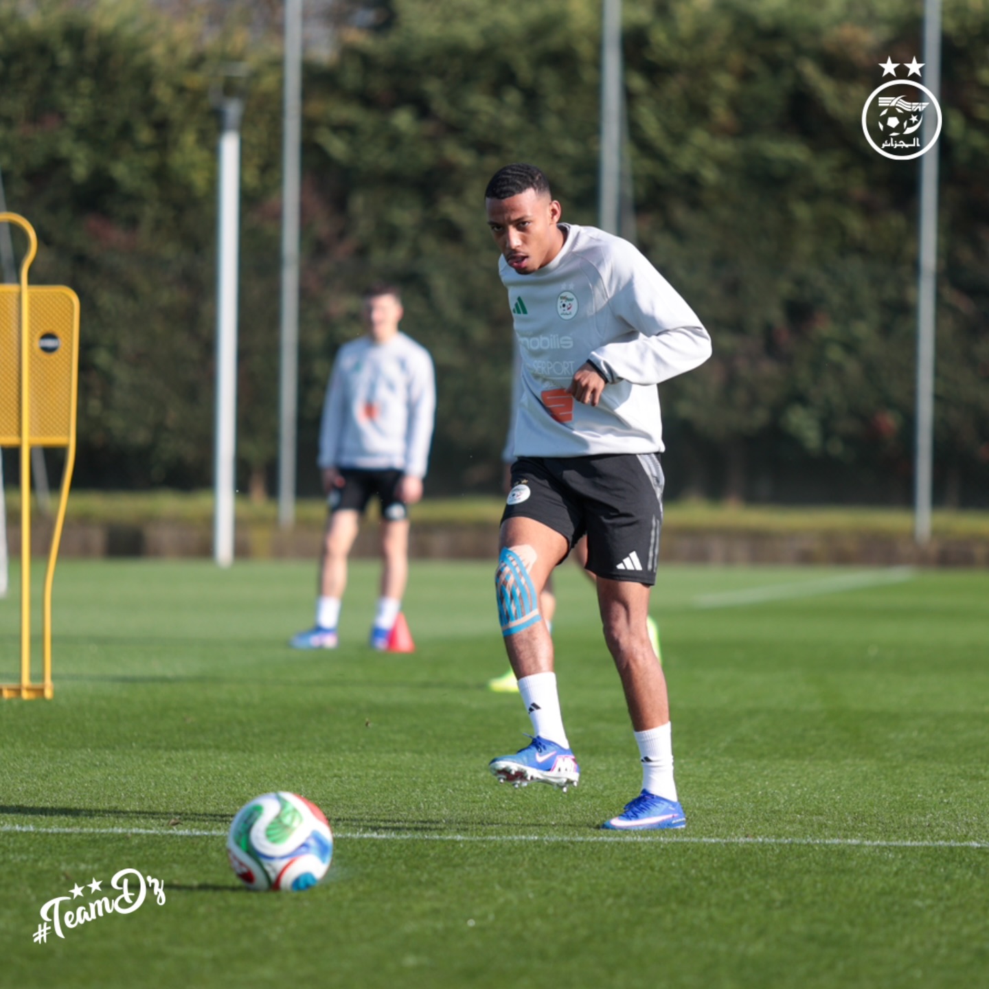 656086233 18170856040398019 8131310844425381808 n