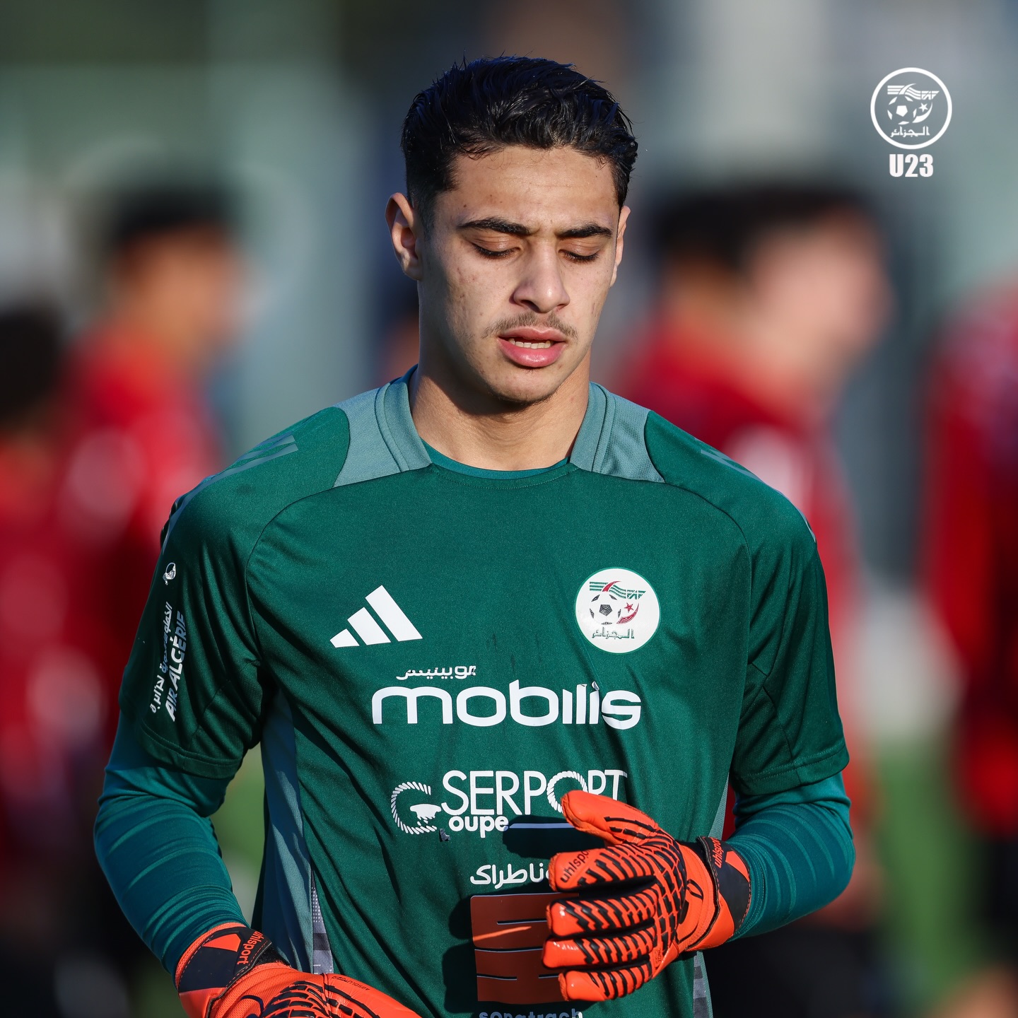 656634294 18170991514398019 7480131616169383952 n