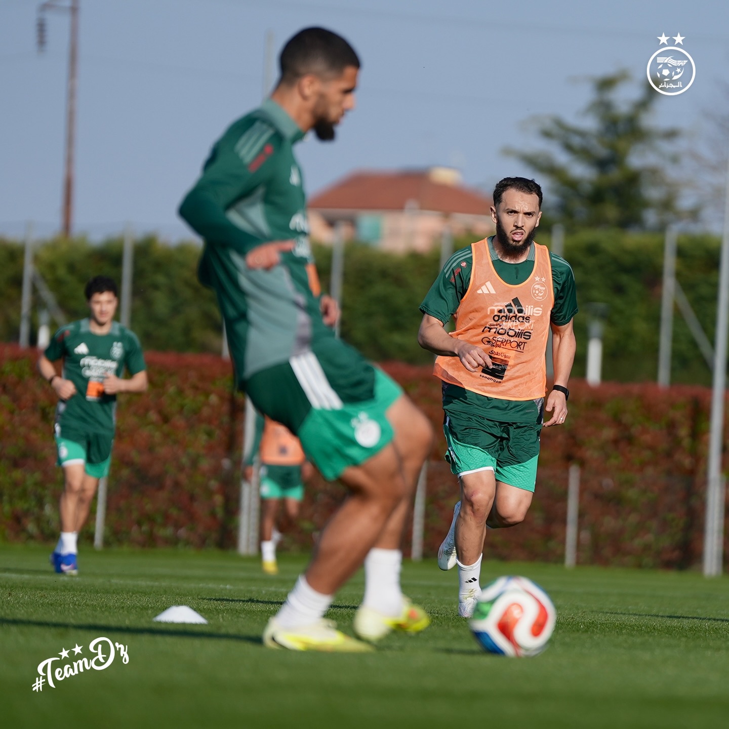 656663192 18170994274398019 339266778753315943 n