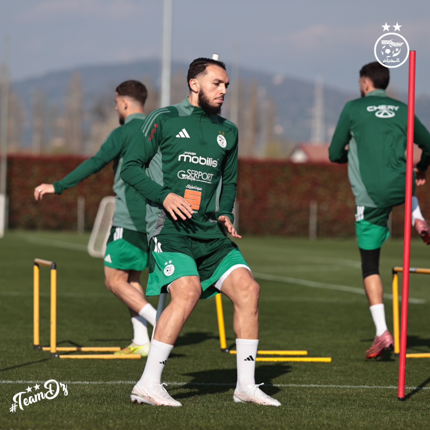 656734173 18170985088398019 8600074605288702634 n