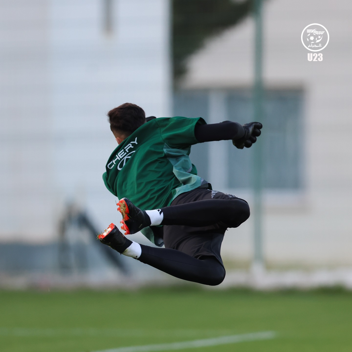 656768288 18170851738398019 7494581561992606782 n