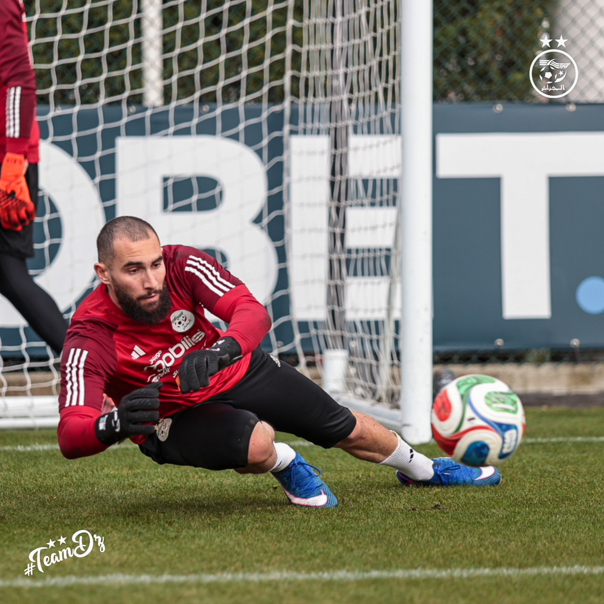 657024564 122191229738484363 8263551912425774307 n