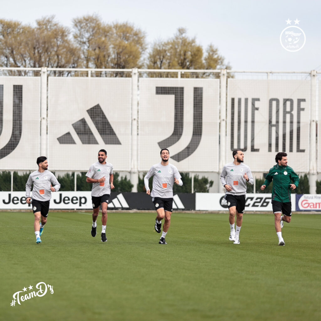 Commentaires sur Algérie : Un Fennec sort particulièrement frustré du stage par Hondi rid