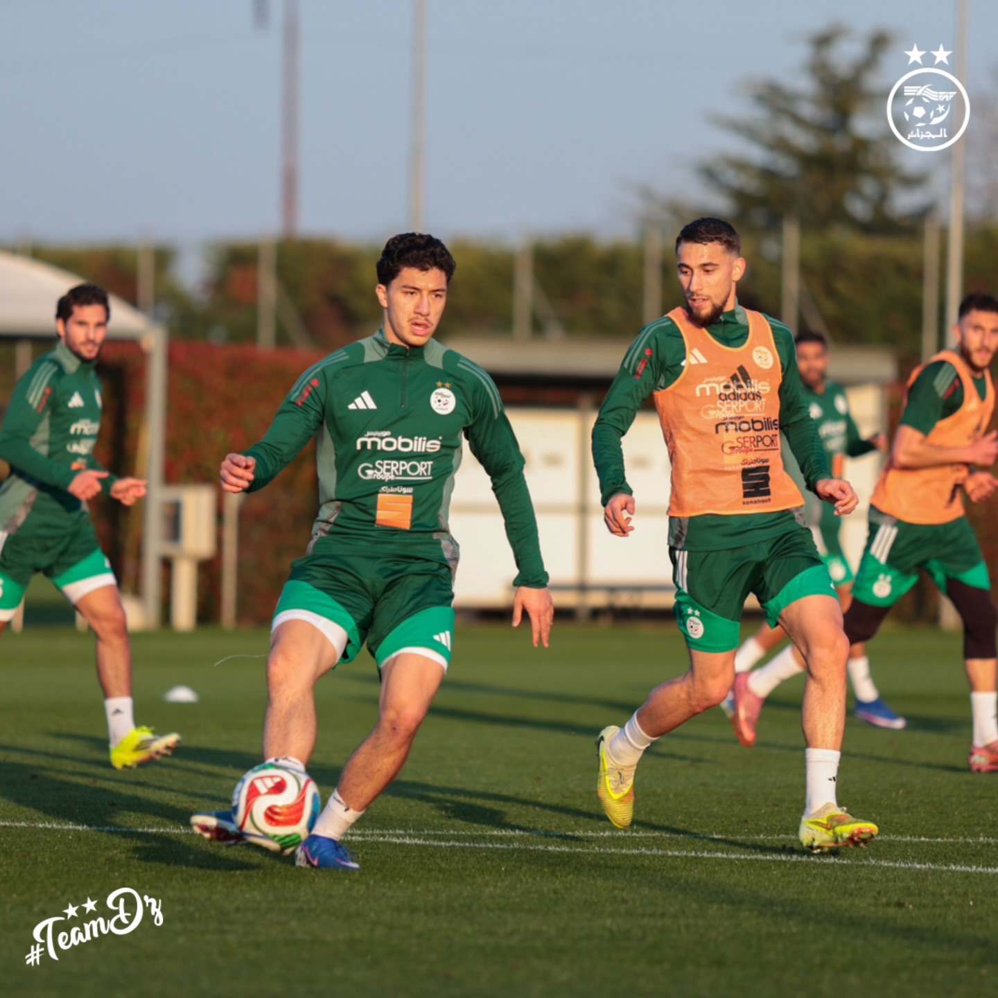 657172076 18170737303398019 5043063109148197802 n