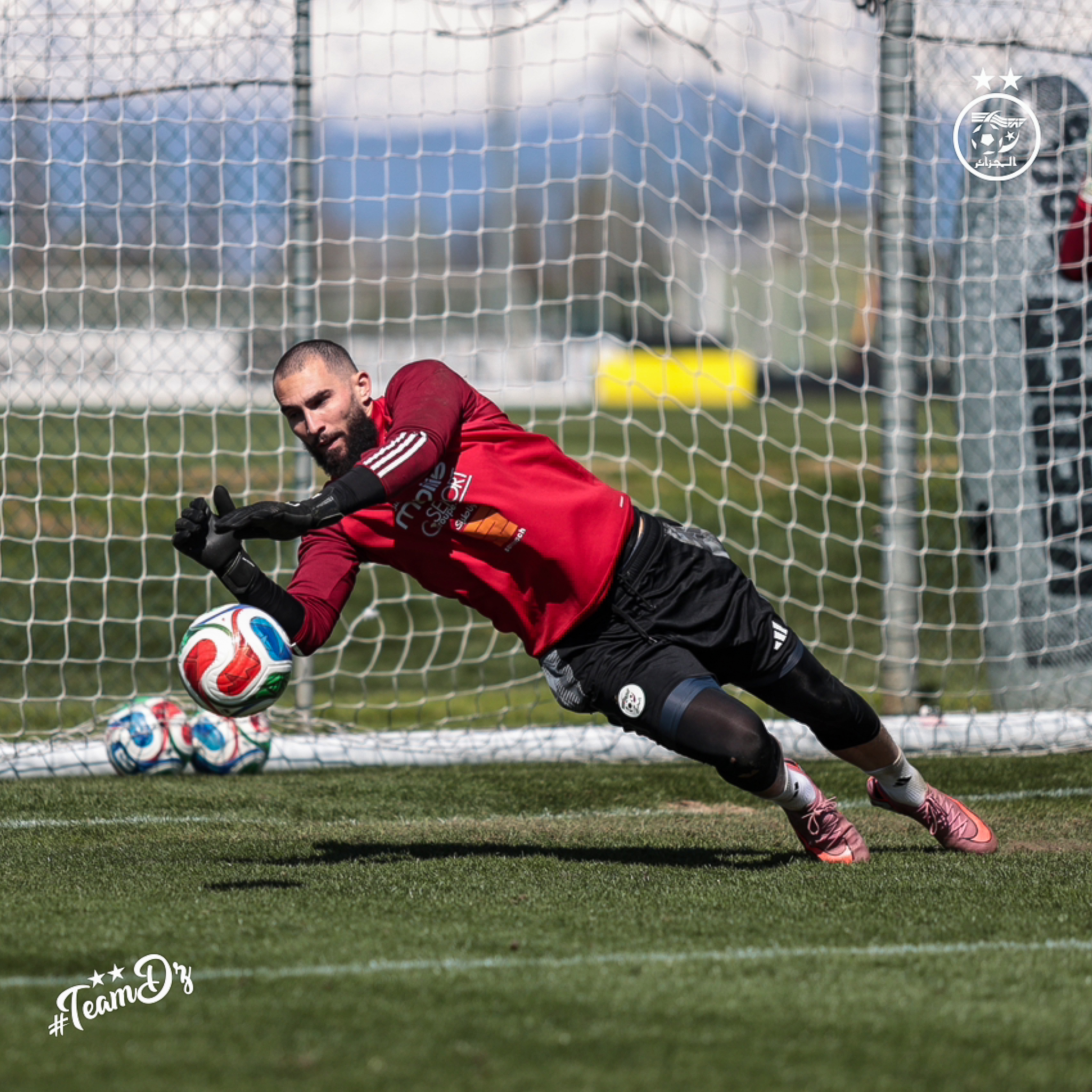 657220866 122191008284484363 886438303422423274 n