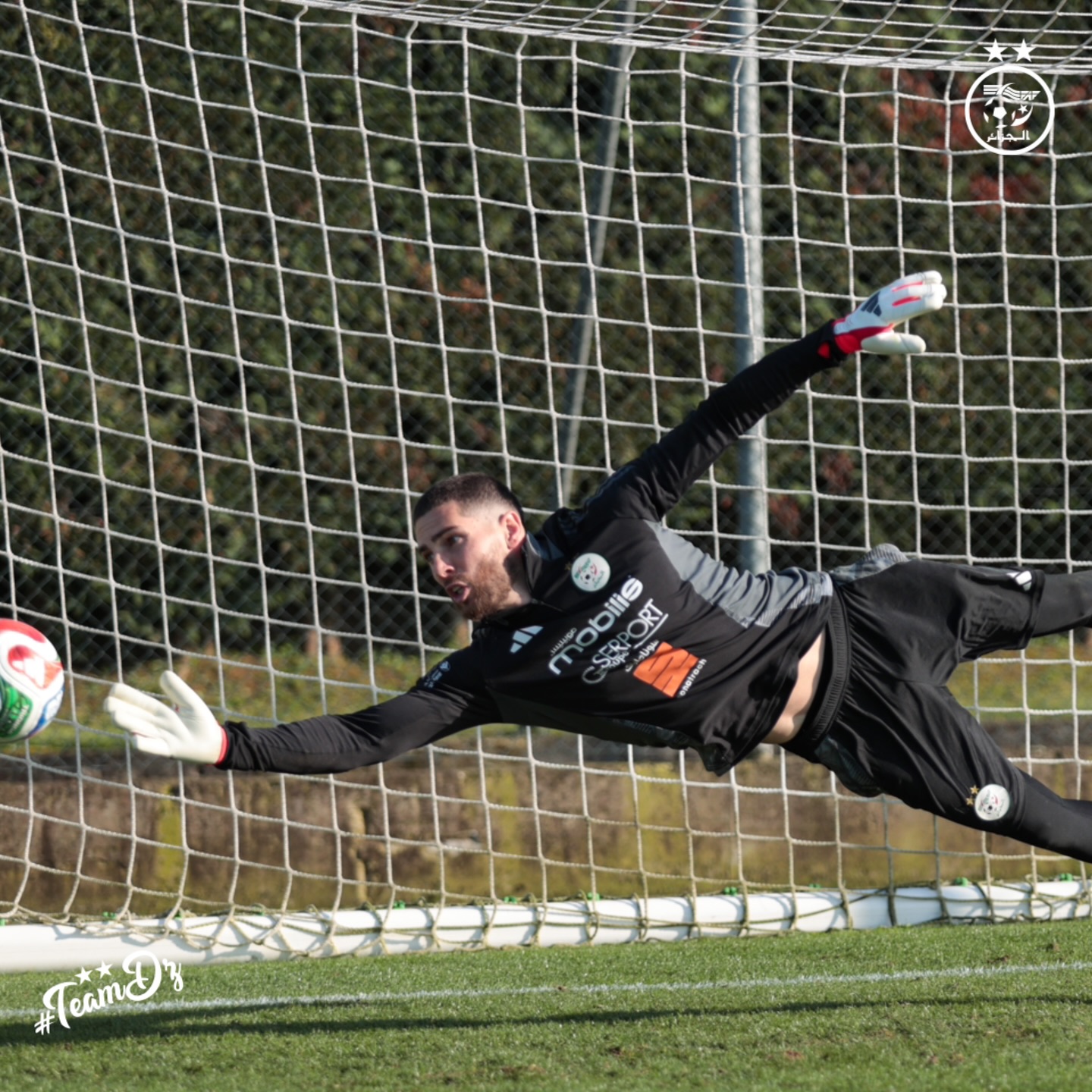 657229590 18170855965398019 4552388009619494989 n