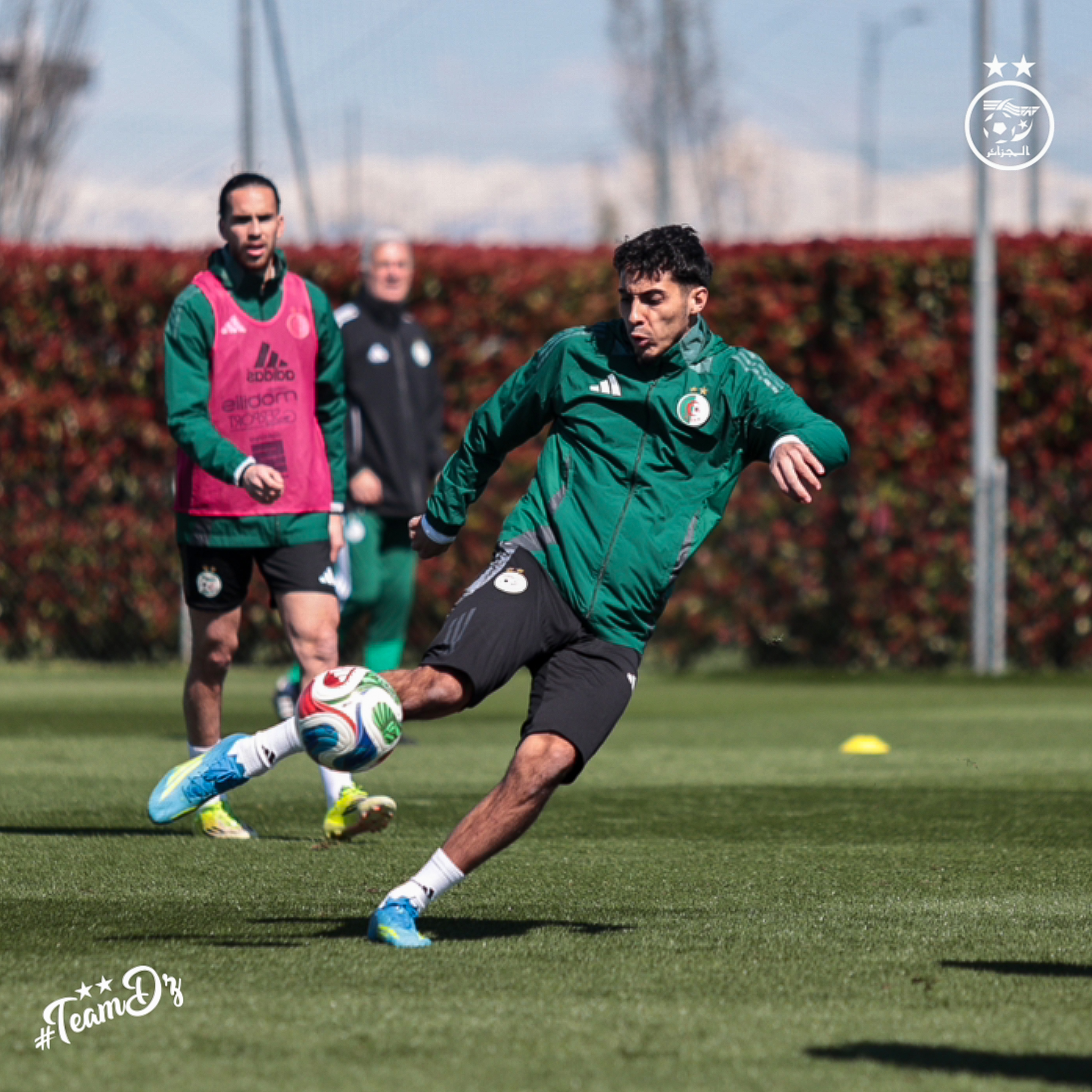 657259971 122191008164484363 7787682516919521381 n