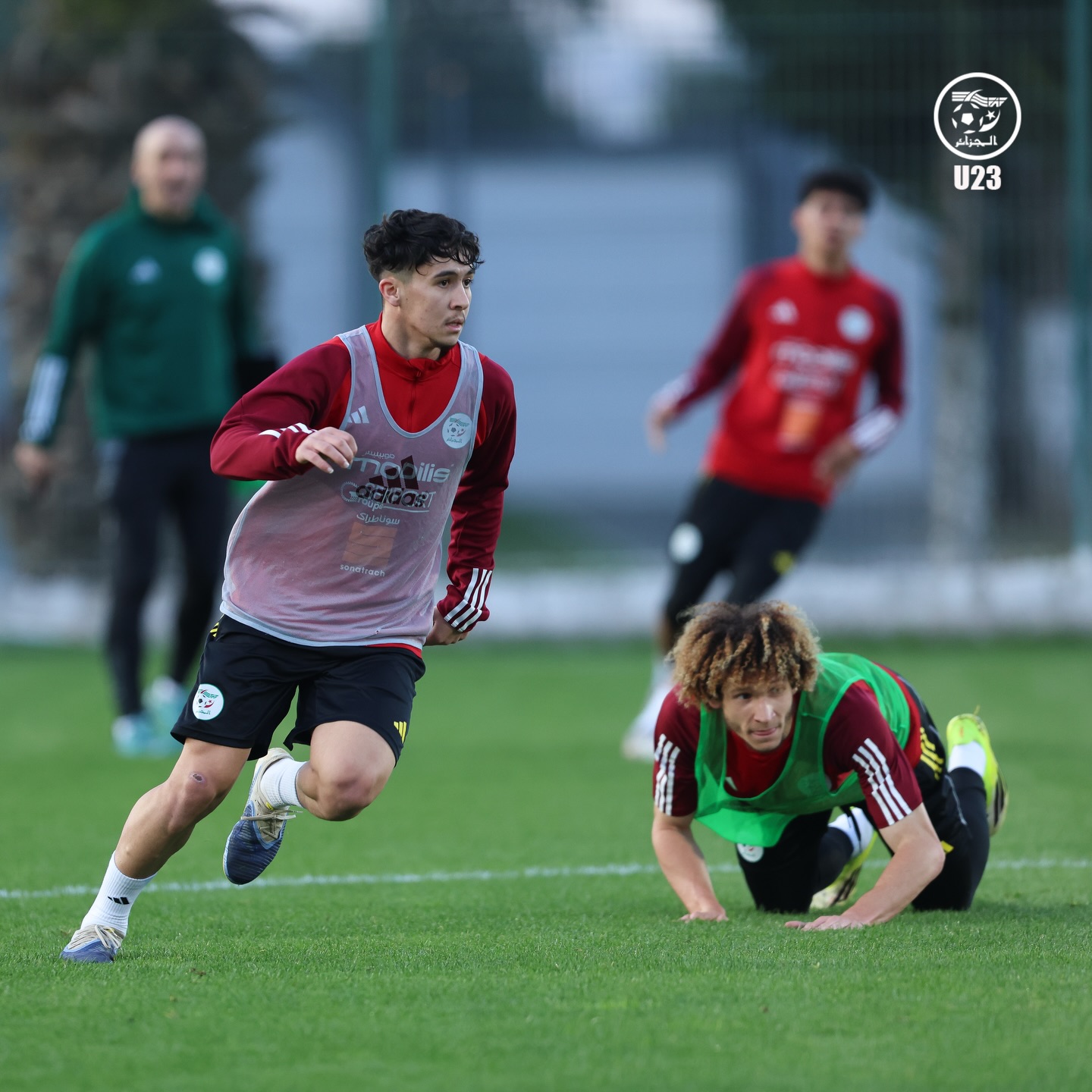 657277862 18170730283398019 4618727800469521623 n